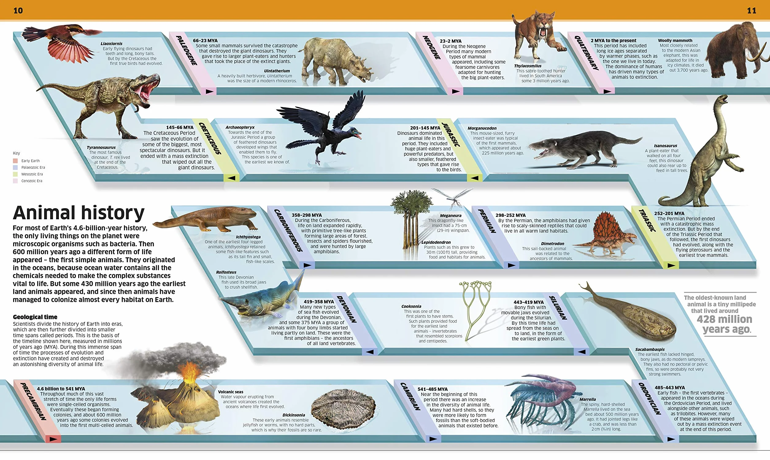 Knowledge Encyclopedia Animal!: The Animal Kingdom as you've Never Seen it Before