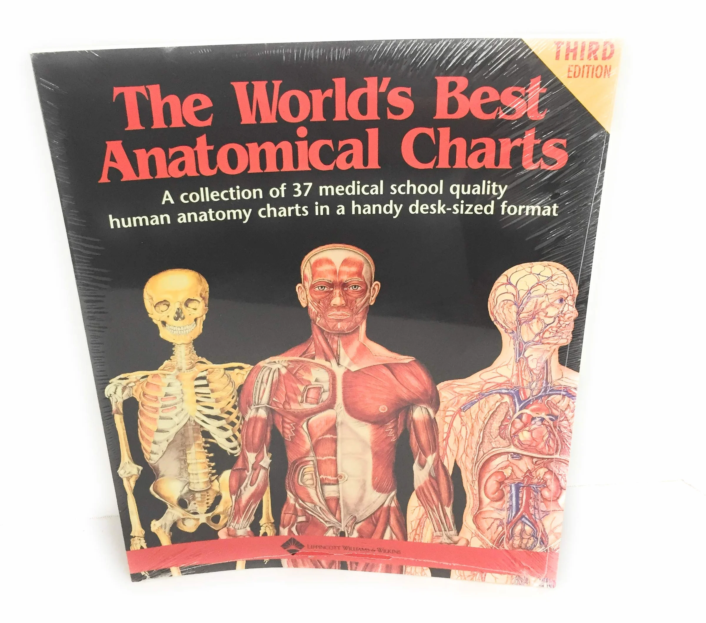 Anatomical Charts
