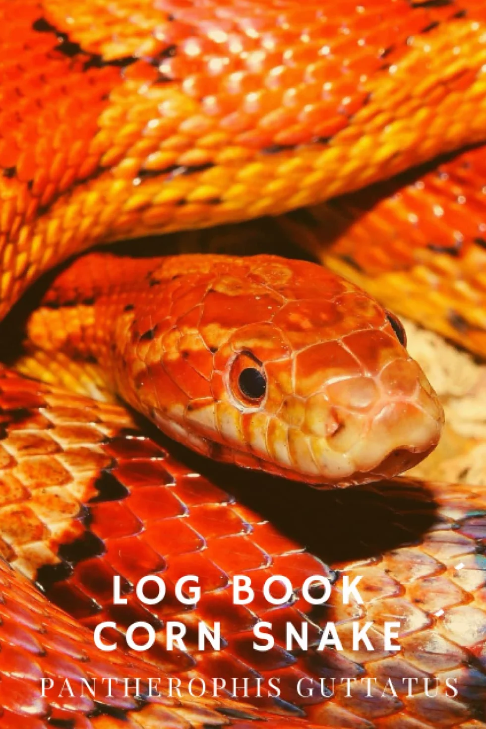 Log Book - Corn Snake (PANTHEROPHIS guttatus)