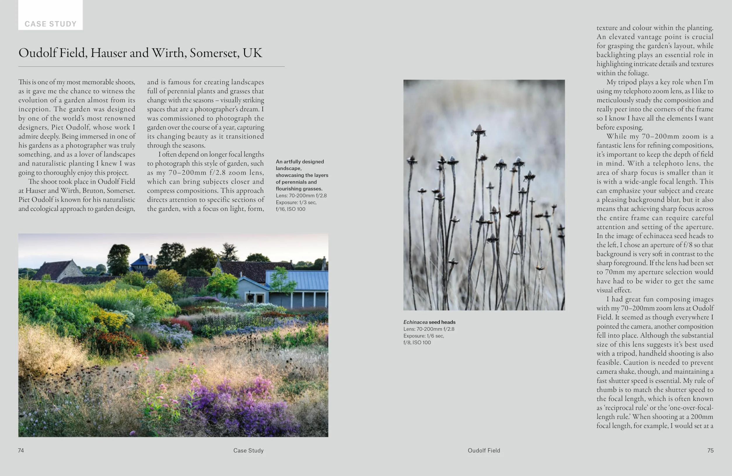How to Photograph Gardens: Beautiful Images Made Simple