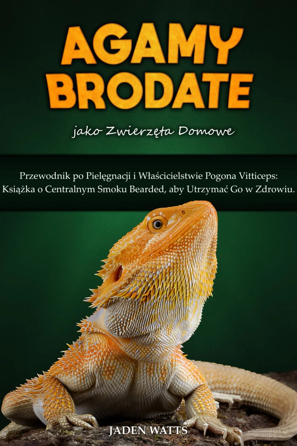 Pogona Vitticeps Przewodnik Pielęgnacji Właścicielstwie Smok Bearded