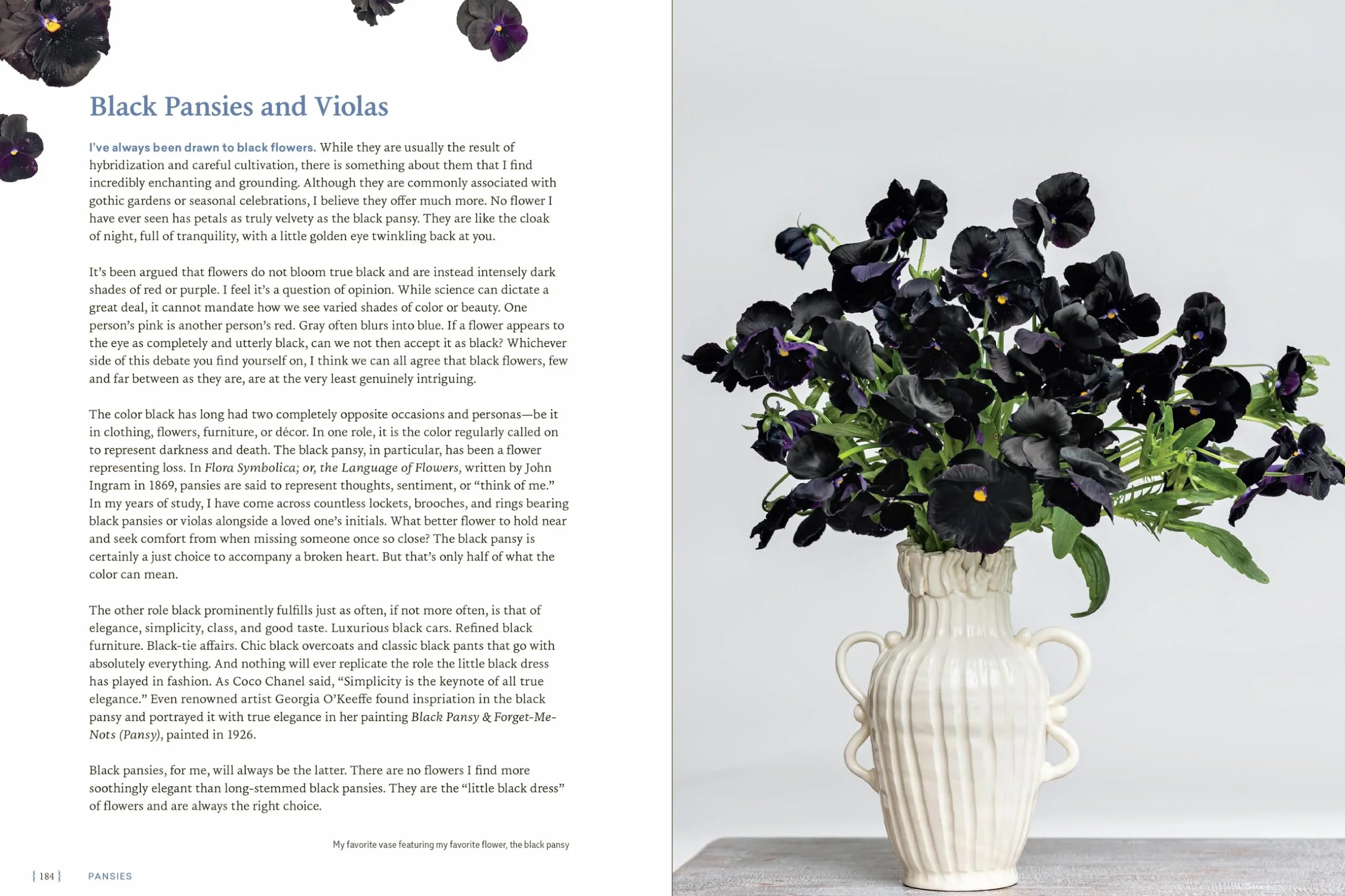 Pansies Violas Growing Guide: Create Beauty with Pansies and Violas