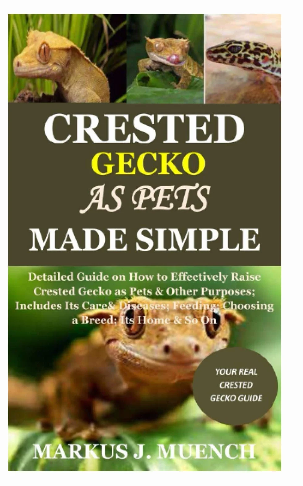 Crested Gecko Care Guide: Raising, Feeding, Diseases, Breeding, Habitat