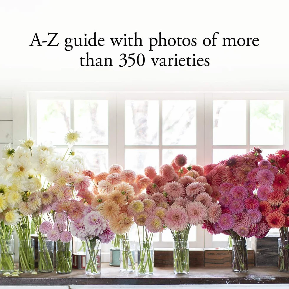 Floret Farm's Discovering Dahlias: A Guide to Growing and Arranging Magnificent Blooms