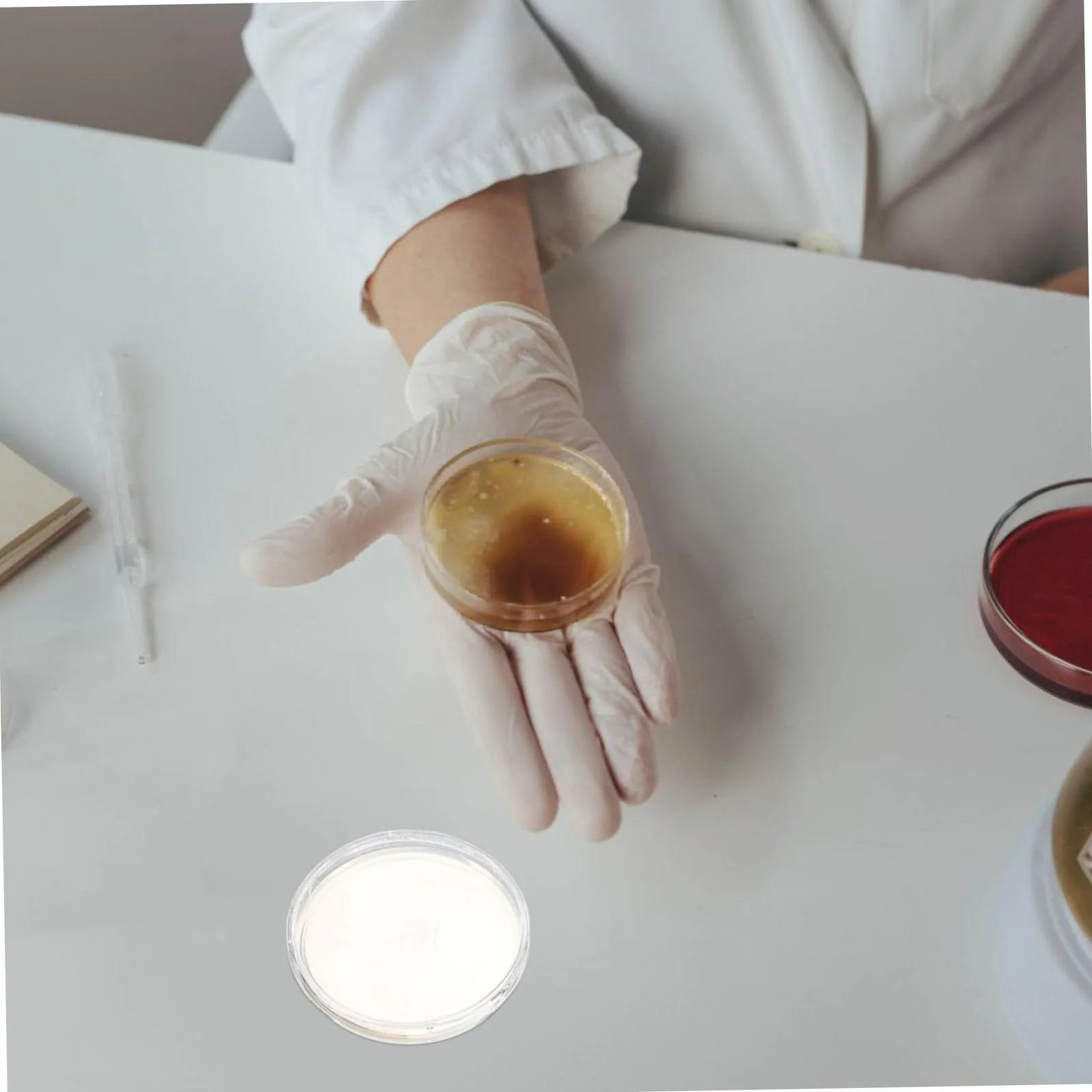 10kawałki Sztuk Płatków Agarowych Do Laboratorium Wstępnie Nalane Talerze Petriego Do Projektów Naukowych Badania Bakterii i Analiz Laboratoryjnych