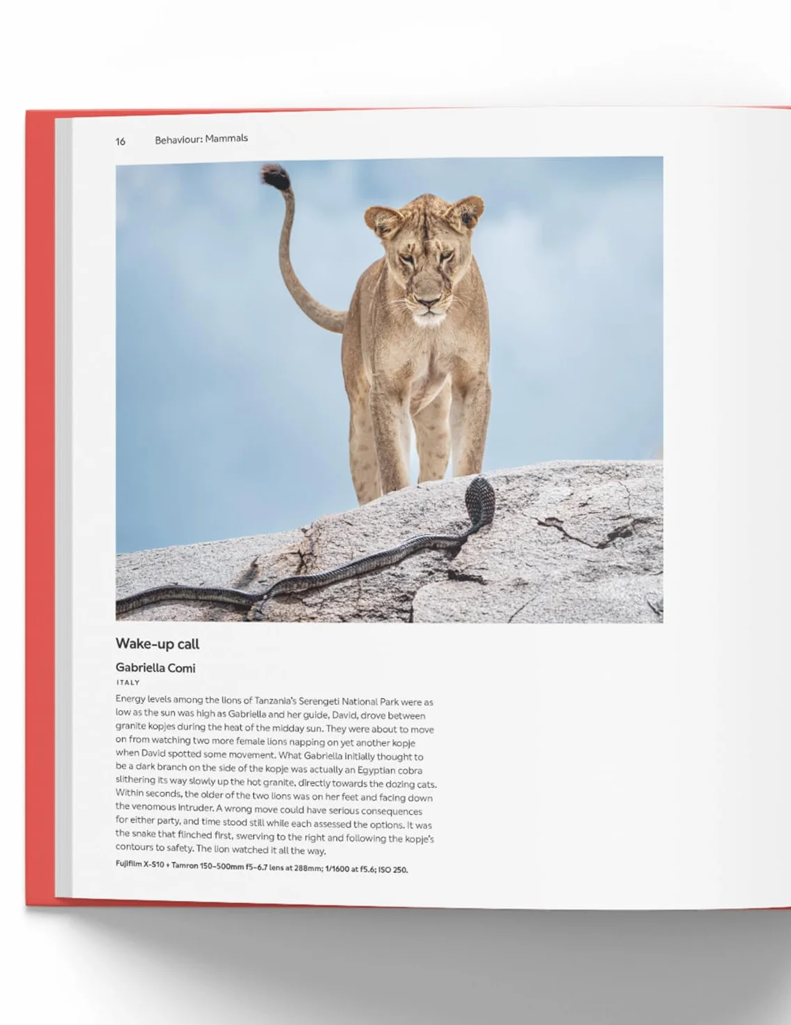 Wildlife Photographer of the Year: Portfolio 35: Volume 35