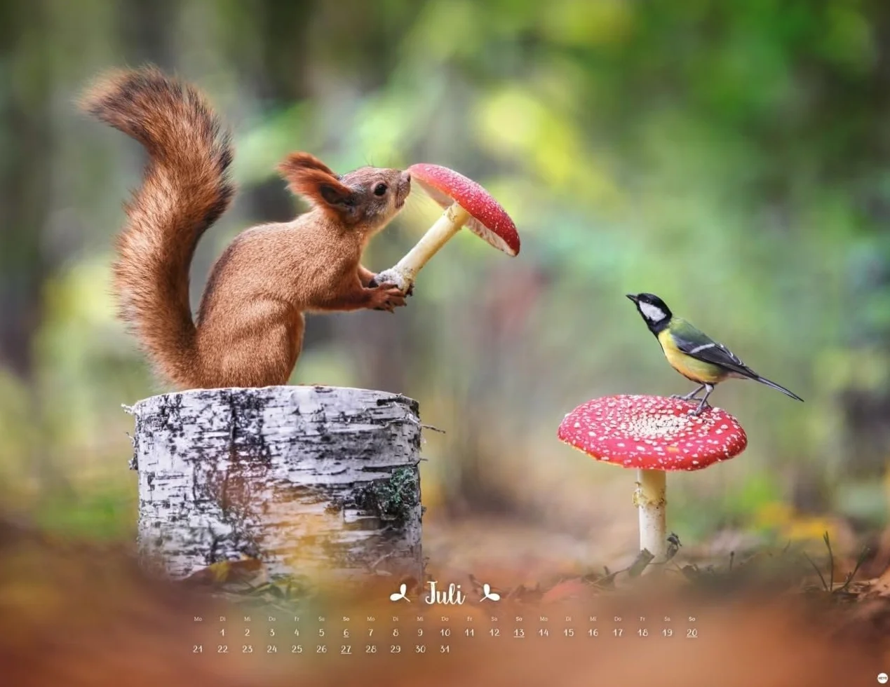 Vadim Trunov Märchenhaftes Waldleben Posterkalender 2025 Naturkalender 44 x 34 cm Querformat