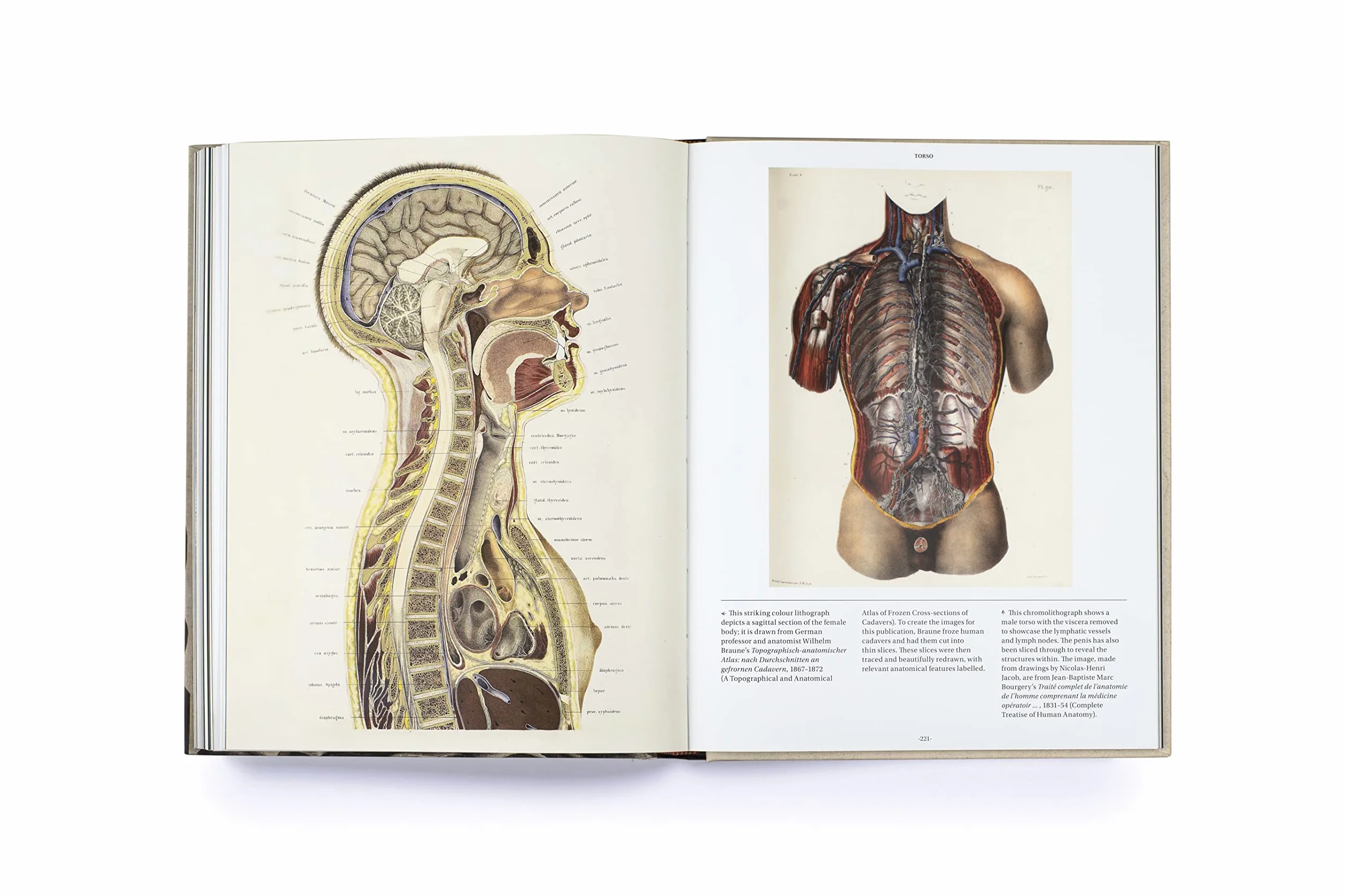 Anatomica: The Exquisite and Unsettling Art of Human Anatomy