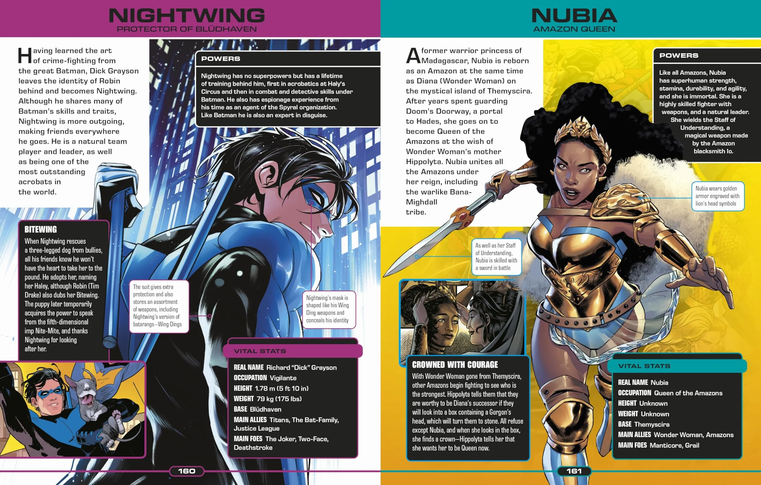 DC Ultimate Character Guide New Edition