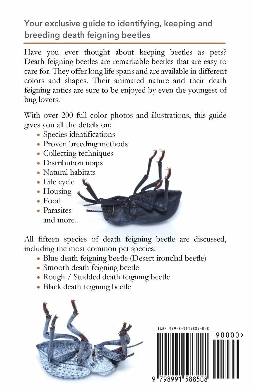 Death Feigning Beetles United States Mexico