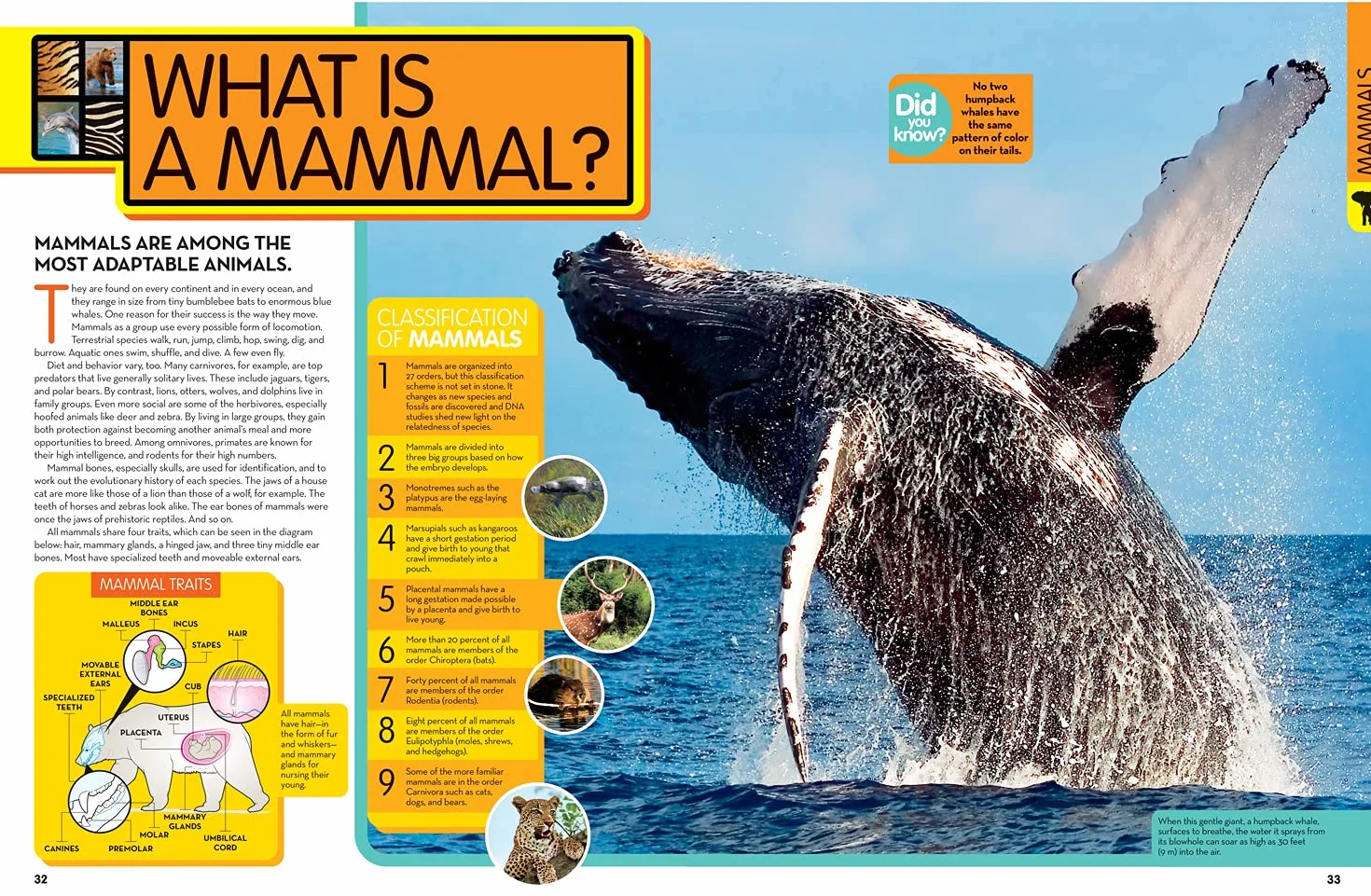 Animal Encyclopedia: 2,500 Animals with Photos, Maps & More