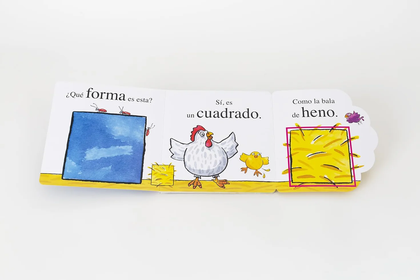 El pollo Pepe y las formas