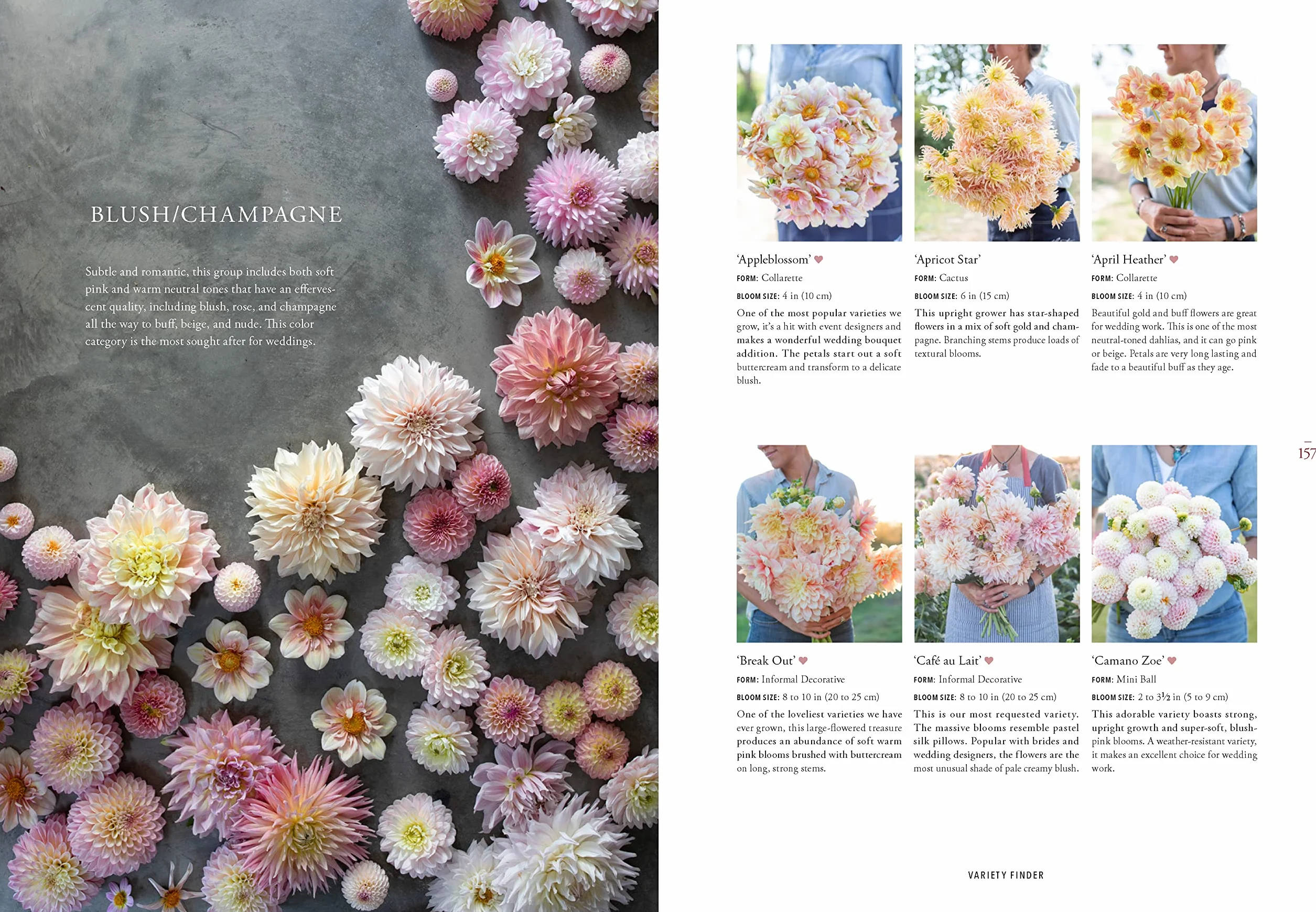 Floret Farm's Discovering Dahlias: A Guide to Growing and Arranging Magnificent Blooms