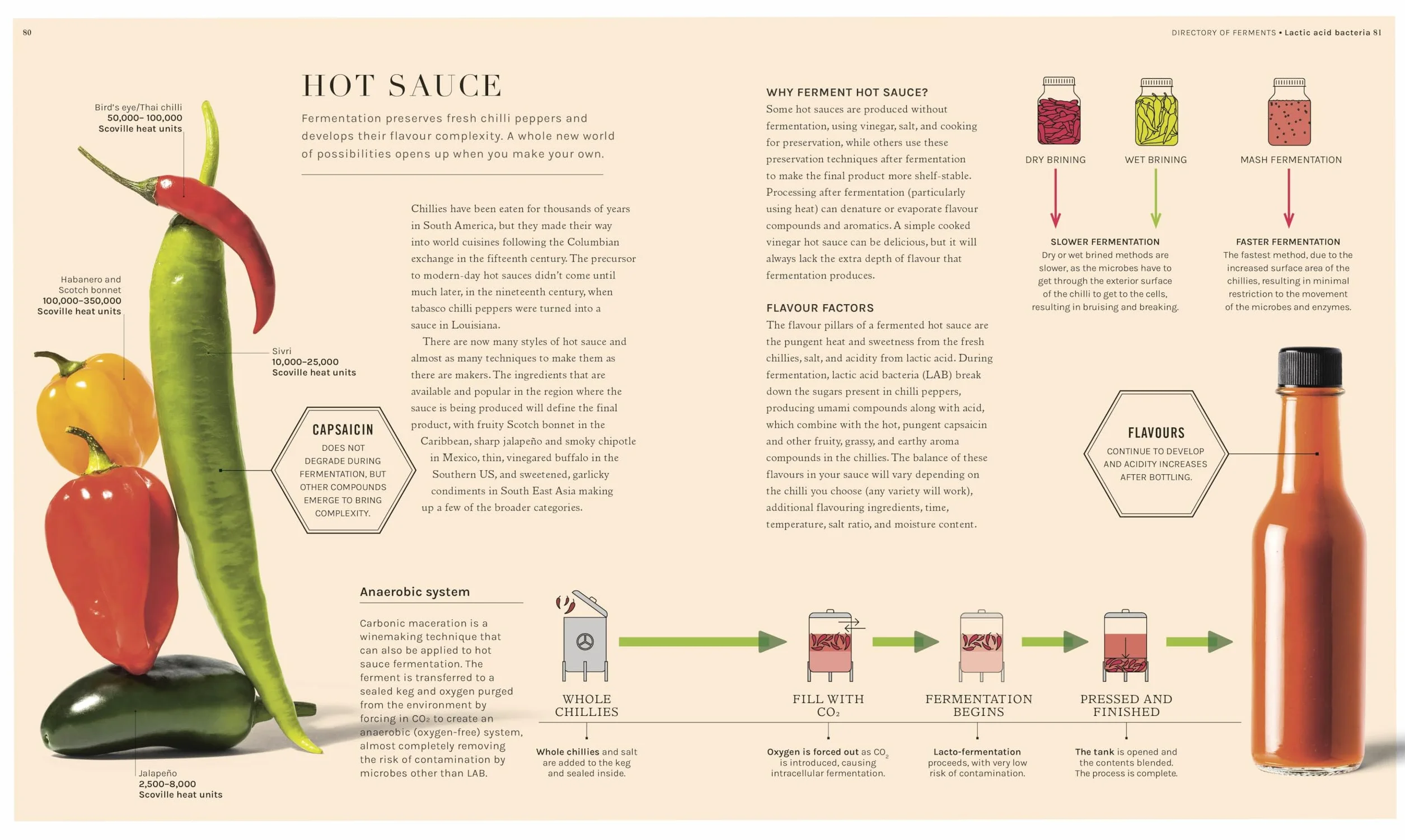 The Science of Fermentation: Explore the Fascinating Alchemy of Fermented Food and Drink