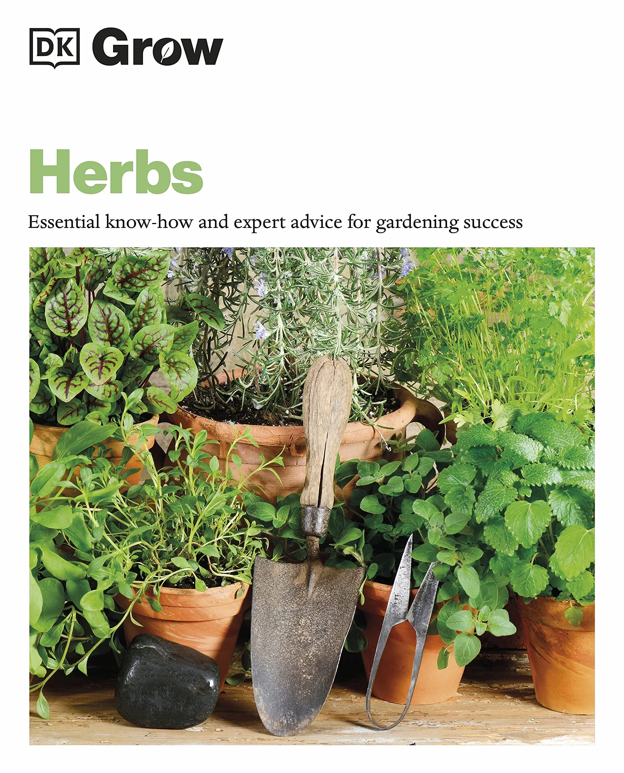 Grow Herbs: Essential Know-how and Expert Advice for Gardening Success