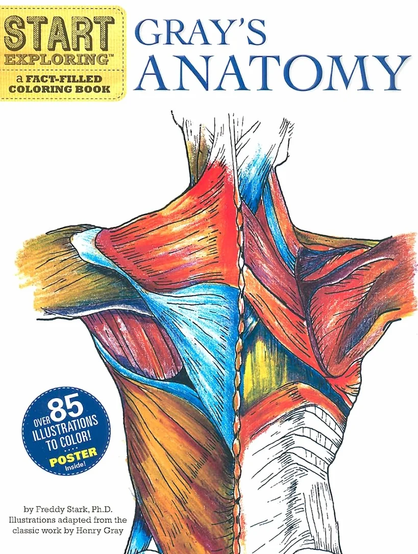 Gray's Anatomy: A Fact-Filled Coloring Book