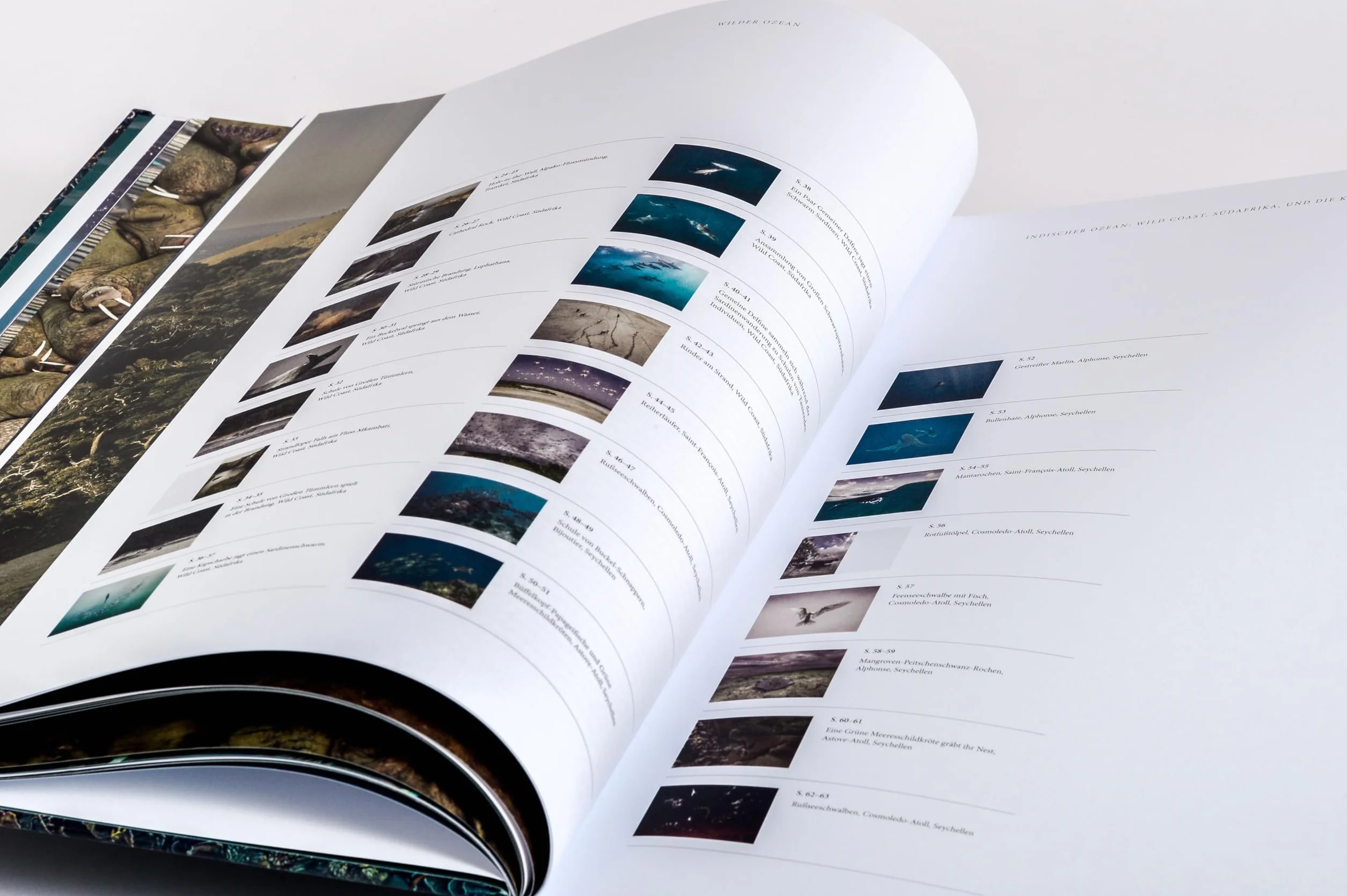 Wilder Ozean: Eine Reise in die ungezähmte Natur der Weltmeere. Opulenter Coffee-Table-Band mit über 200 faszinierenden Fotografien
