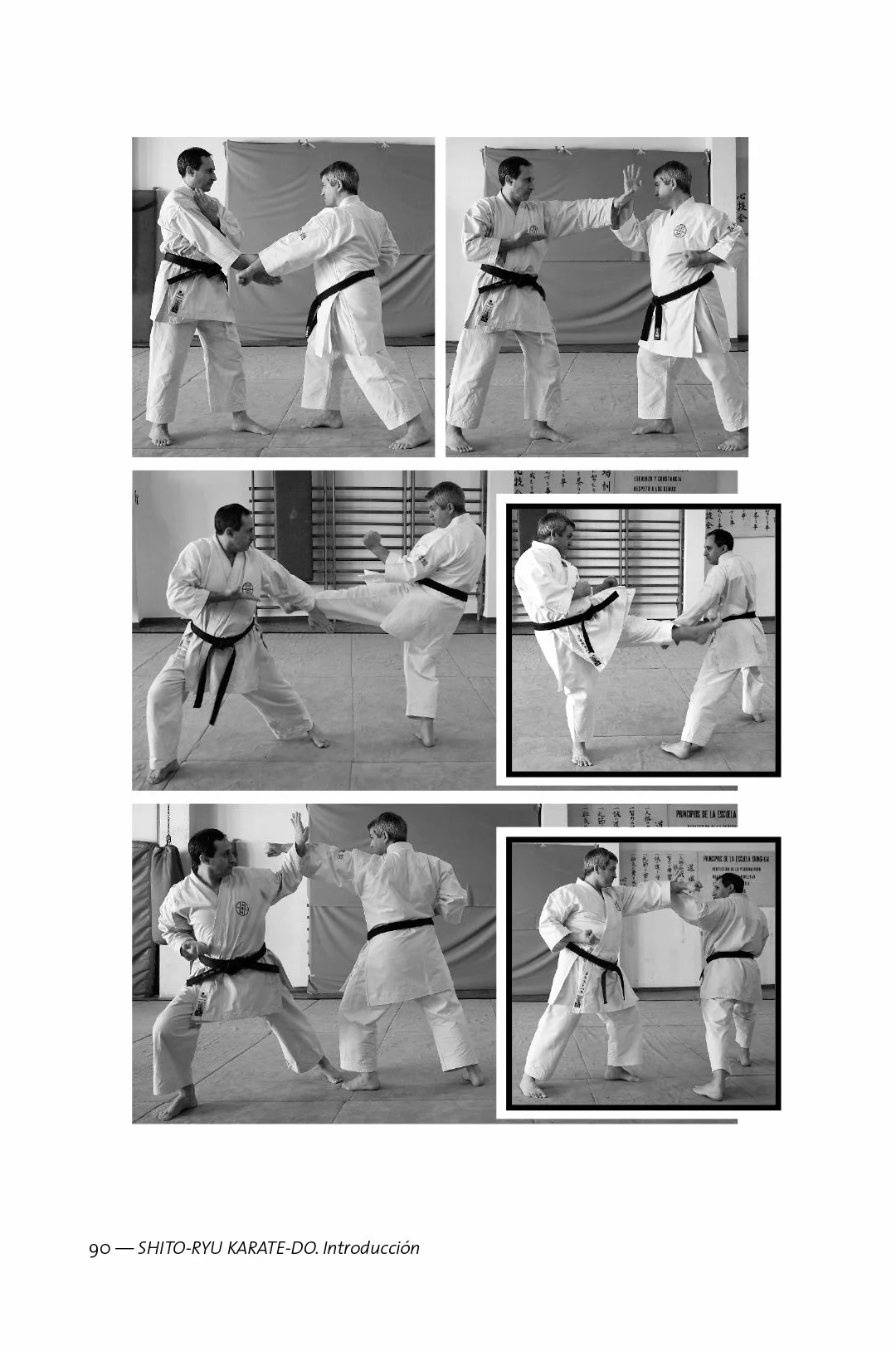 Shito-ryu karate-do