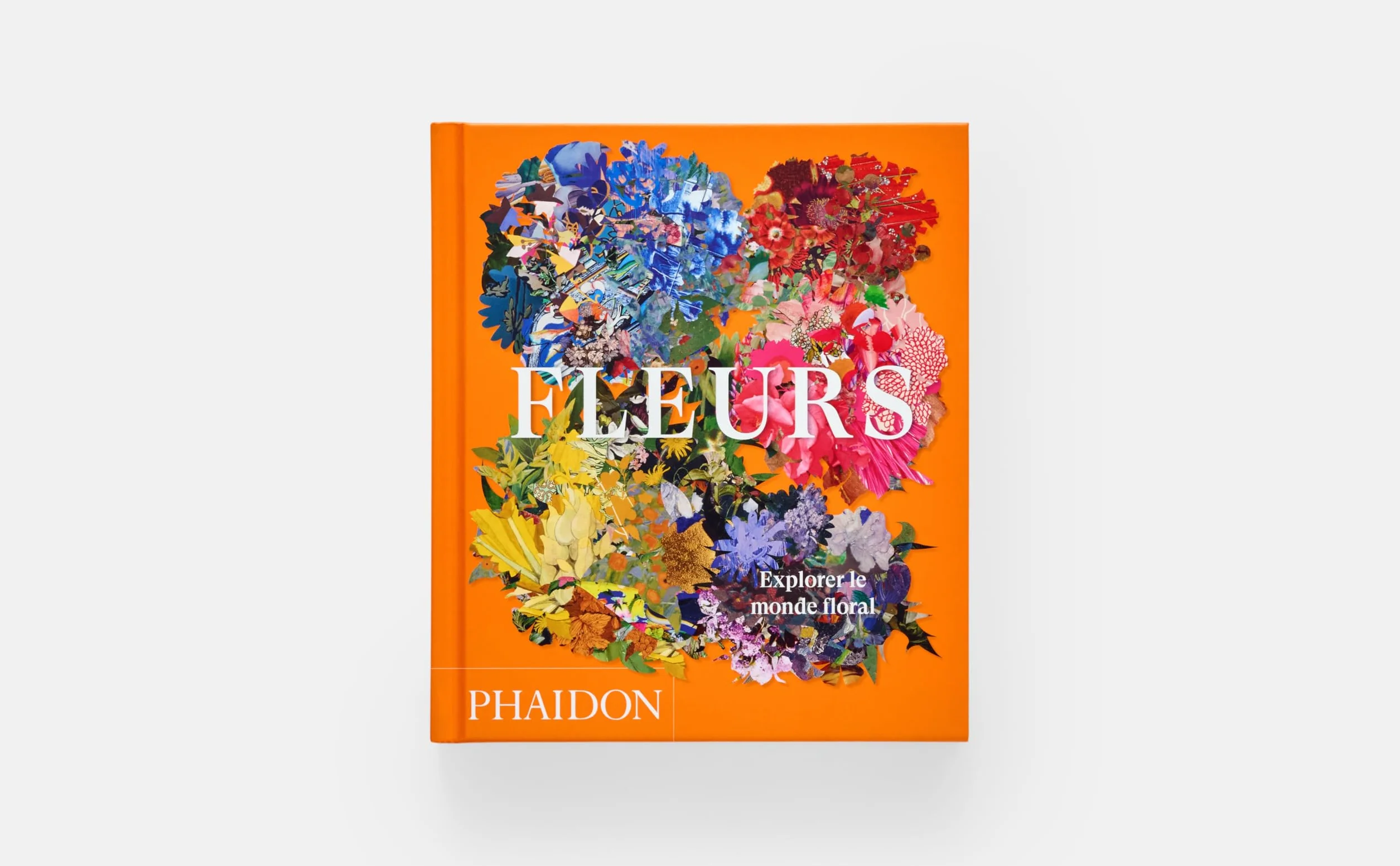 Explorer le monde floral