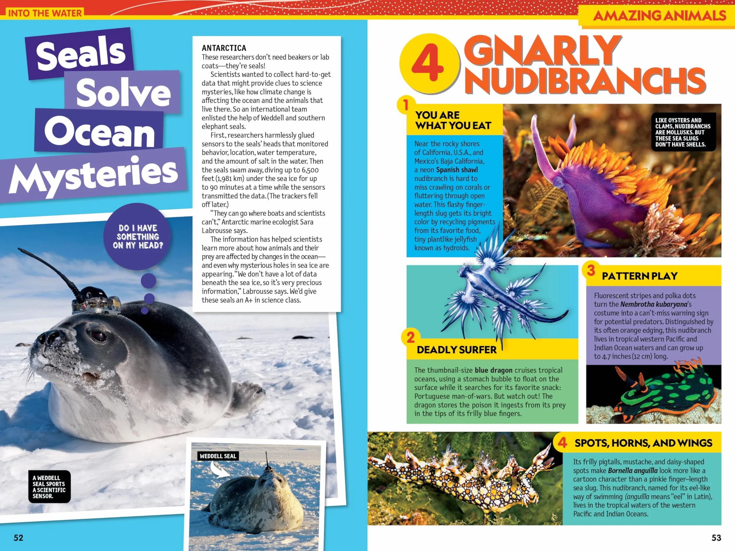 National Geographic Kids Almanac 2025