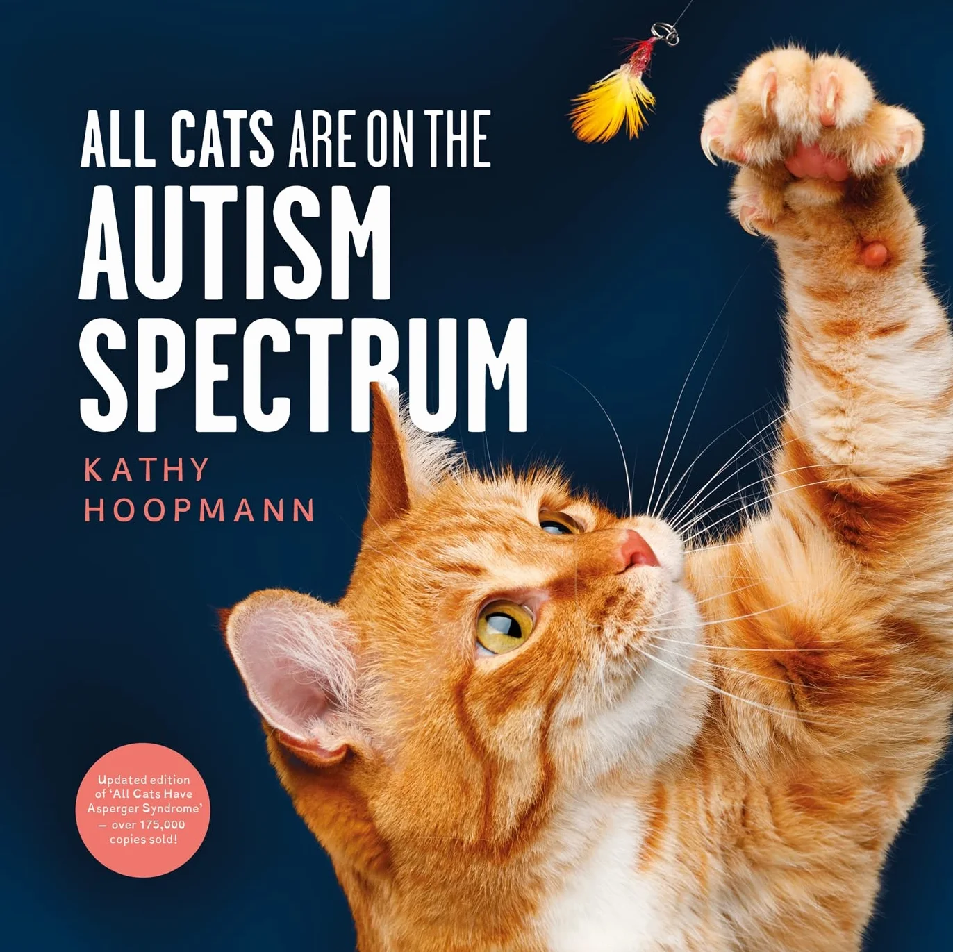 All Cats Are on the Autism Spectrum: An Affirming Introduction to Autism