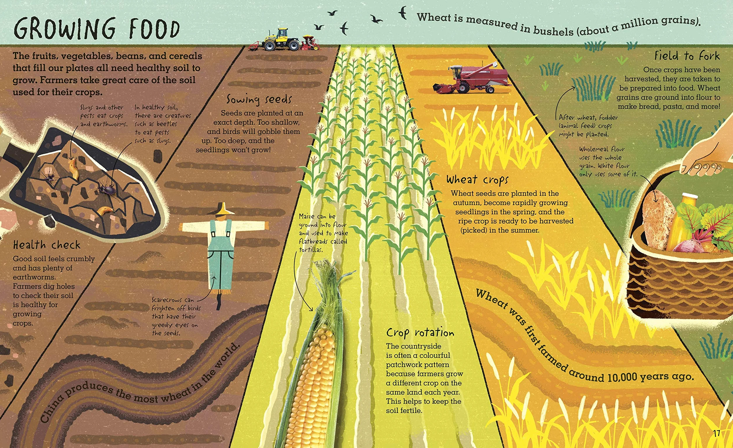 RHS Under Your Feet: Soil, Sand and other stuff (Underground and All Around)