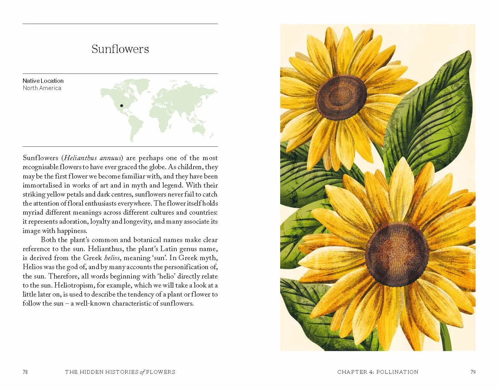 The Hidden Histories of Flowers: Fascinating Stories of Flora