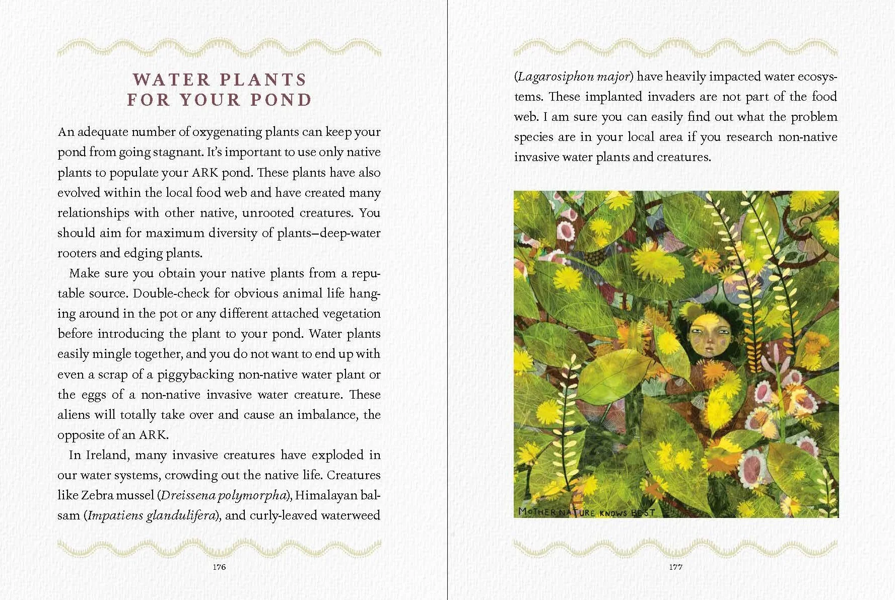 We Are the Ark: Returning Gardens to Their True Nature Through Restorative Kindness