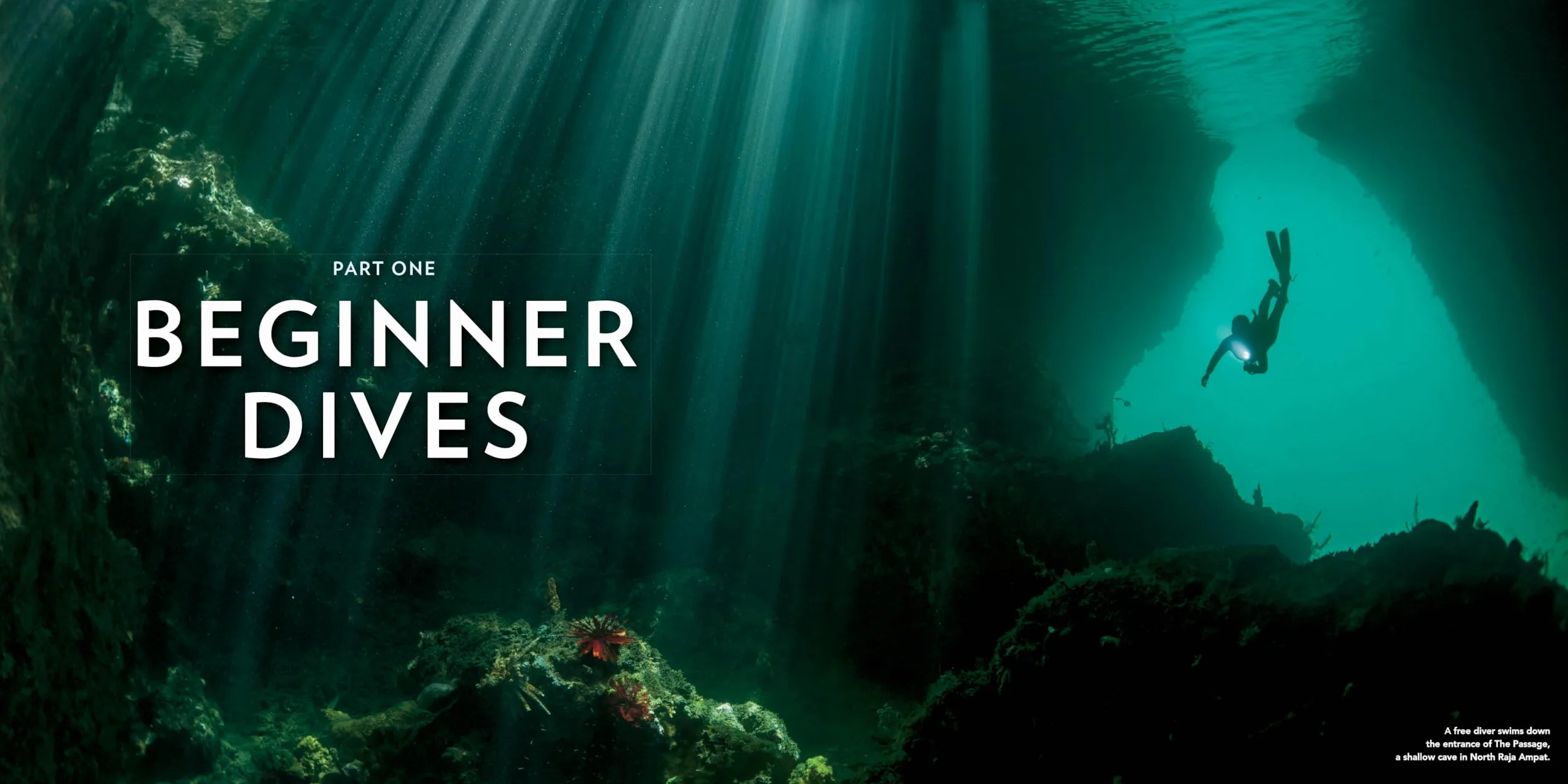 100 Dives of a Lifetime: The World's Ultimate Underwater Destinations