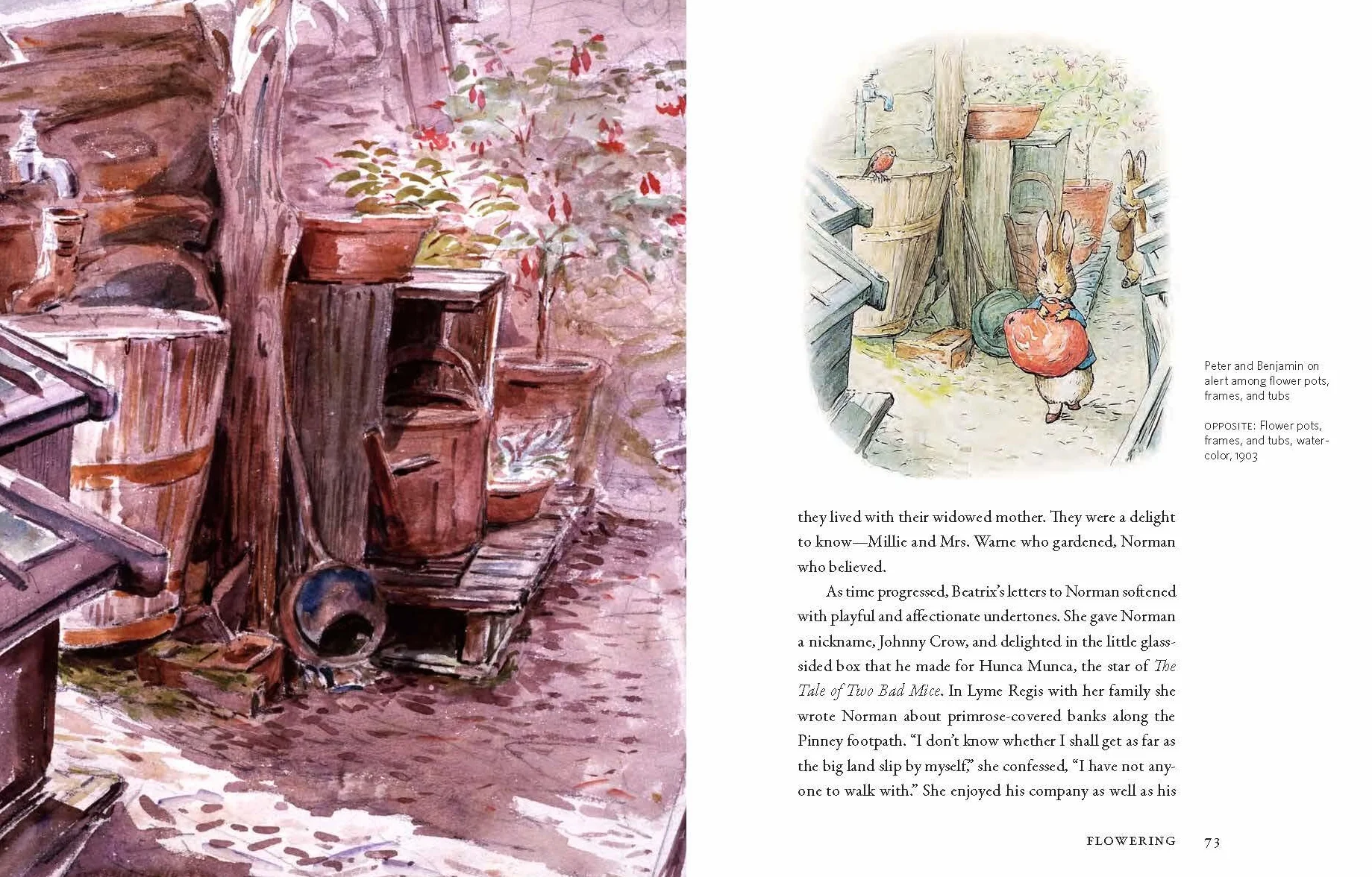 Beatrix Potter's Gardening Life: Plants and Places Inspired Classic Children's Tales