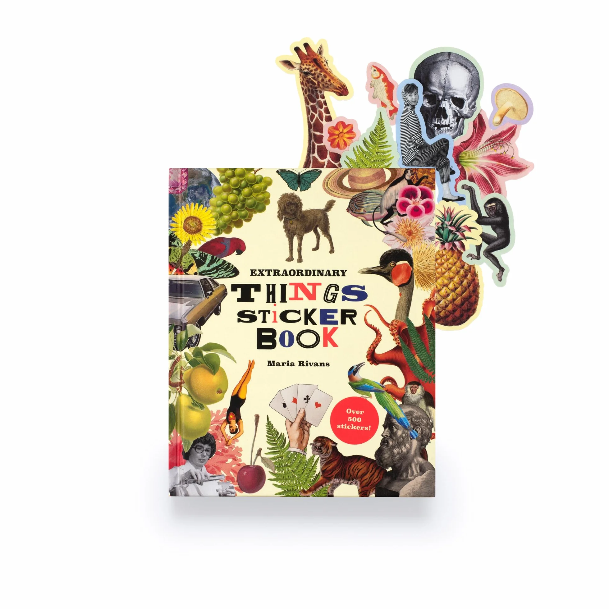 Extraordinary Things Sticker Book