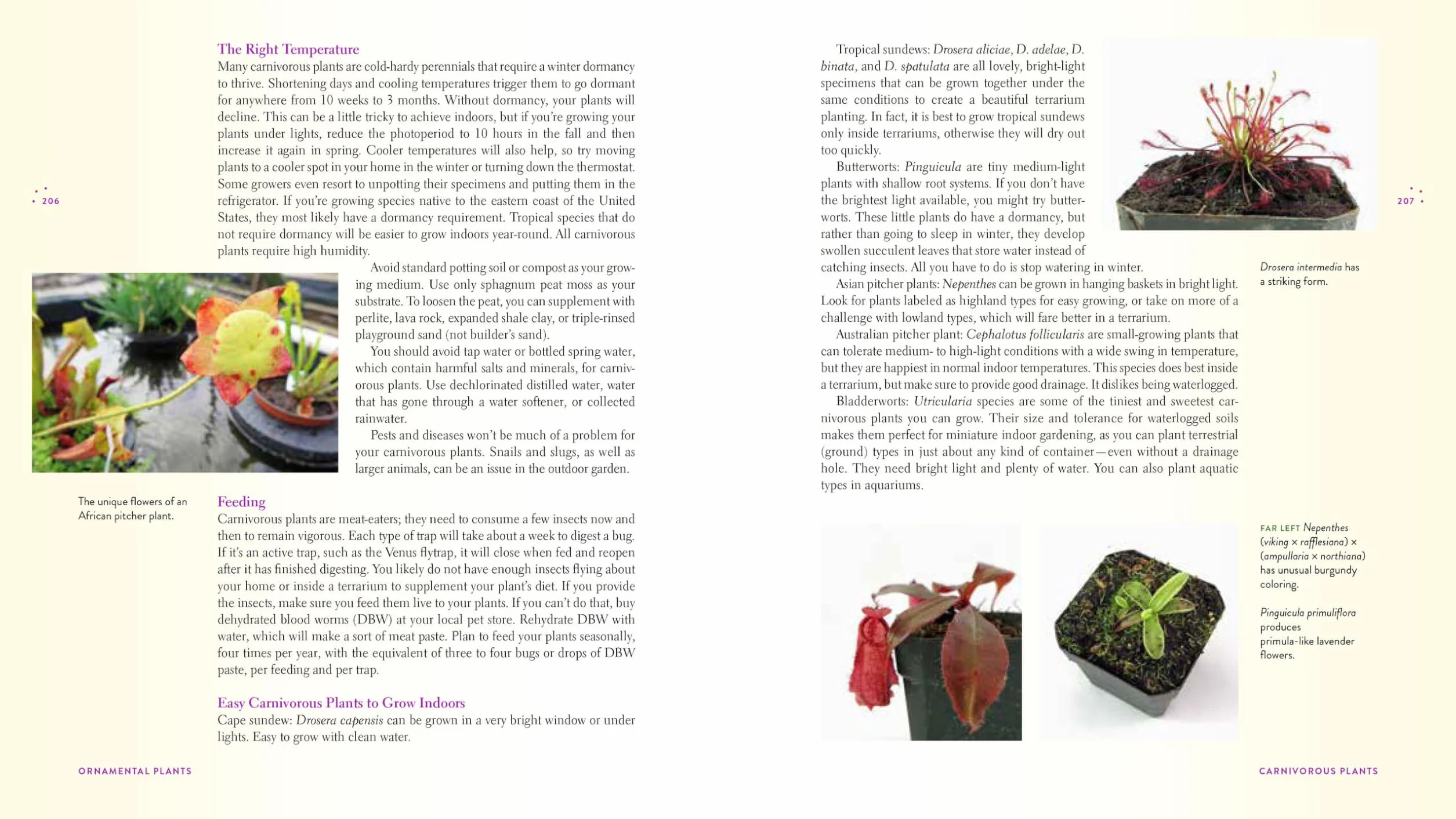 Gardening Under Lights: The Complete Guide for Indoor Growers