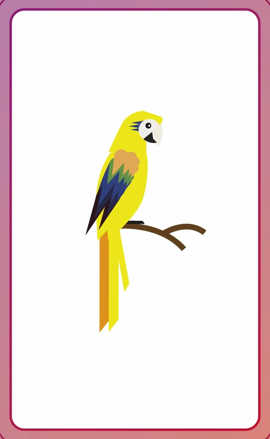 English for Everyone Junior First Words Animals Flash Cards
