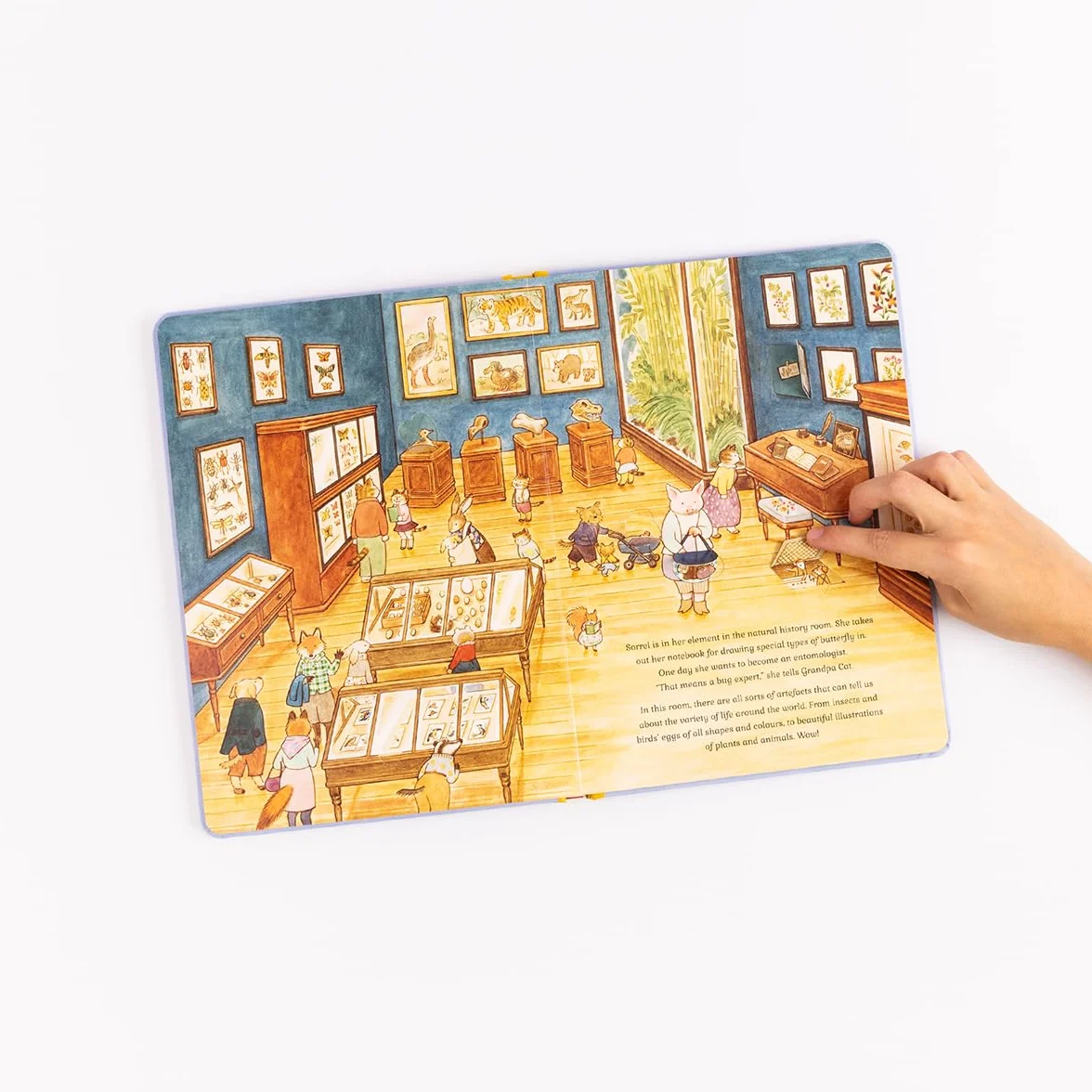 Cat Family at The Museum: A Lift-the-Flap Book with over 140 Flaps: Volume 2