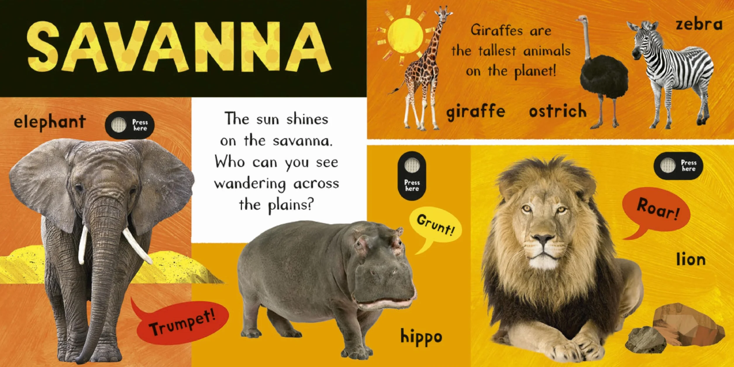 Noisy Animal World: My First Animal Sound Book