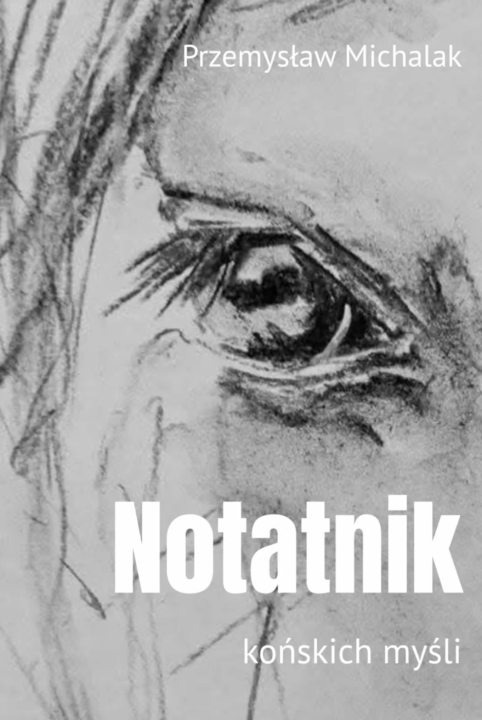 Notatnik końskich myśli