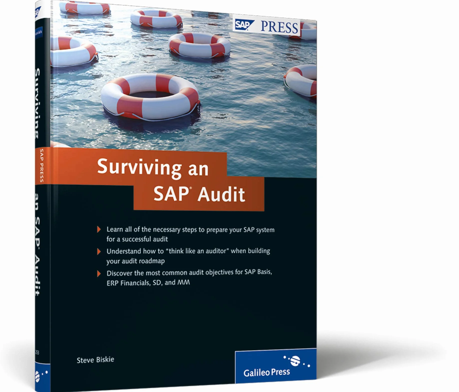 Surviving an SAP Audit: A Practical Guide