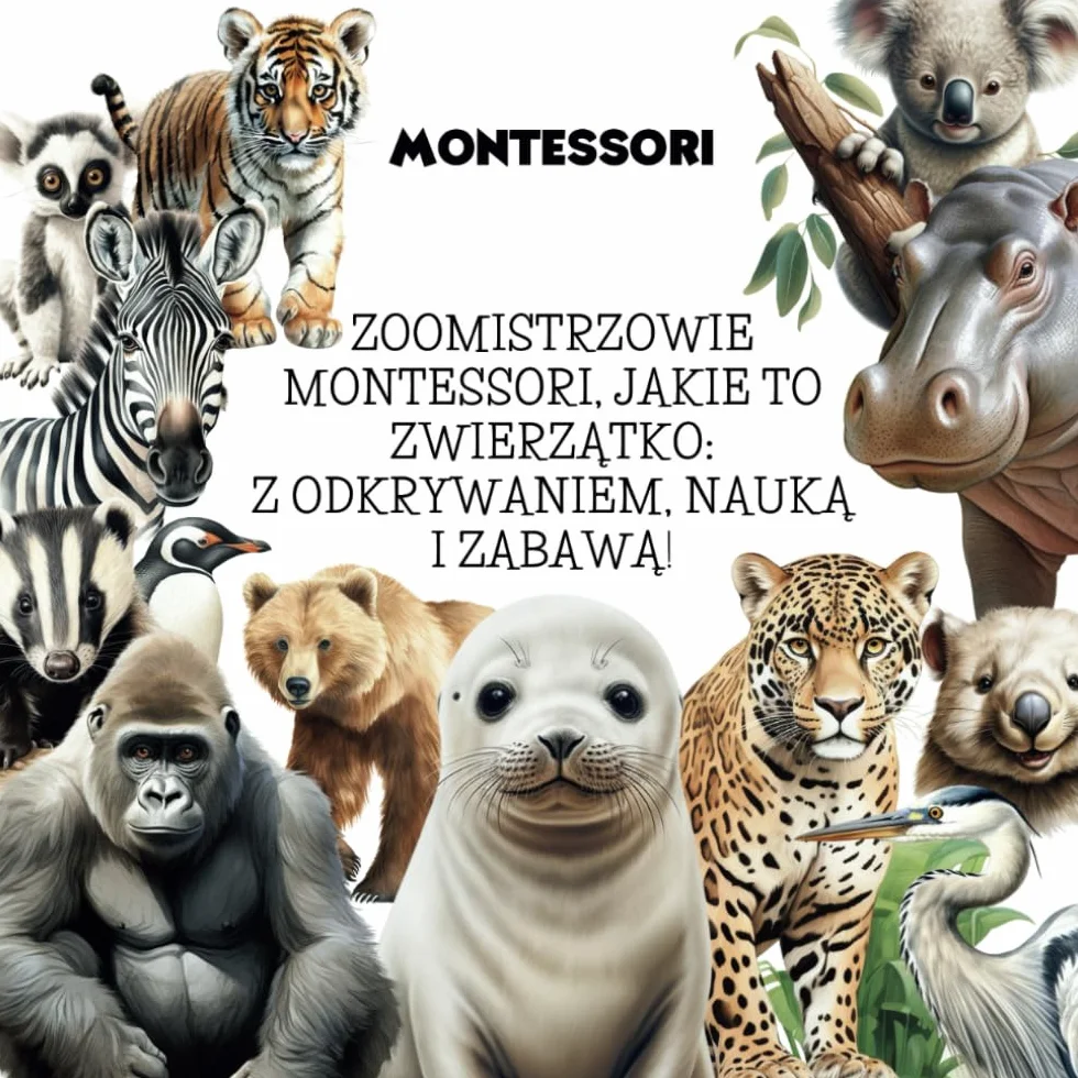 ZooMistrzowie Montessori, jakie to zwierzątko z odkrywaniem, nauką i zabawą!: MONTESSORI kreatywna, interaktywna książeczka rozwijająca wiedzę oraz spostrzegawczość, zabawa oraz nauka o zwierzętach.
