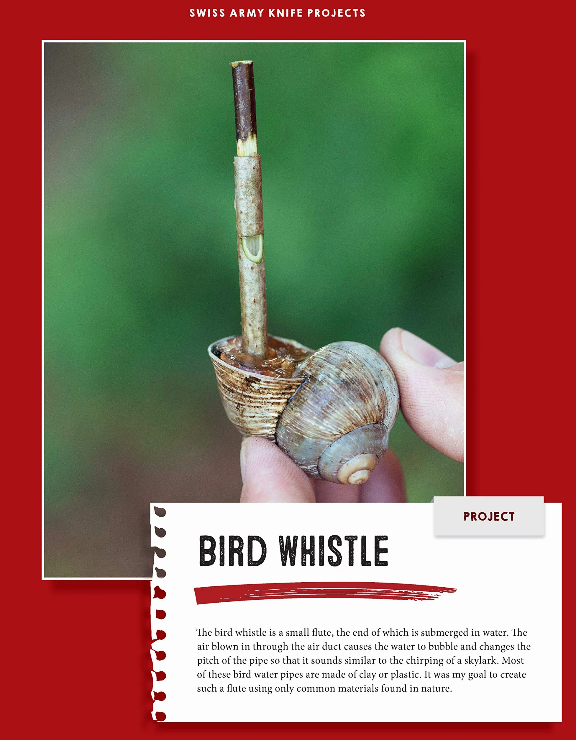 Victorinox Swiss Army Knife Whittling in the Wild: 30+ Wood Projects