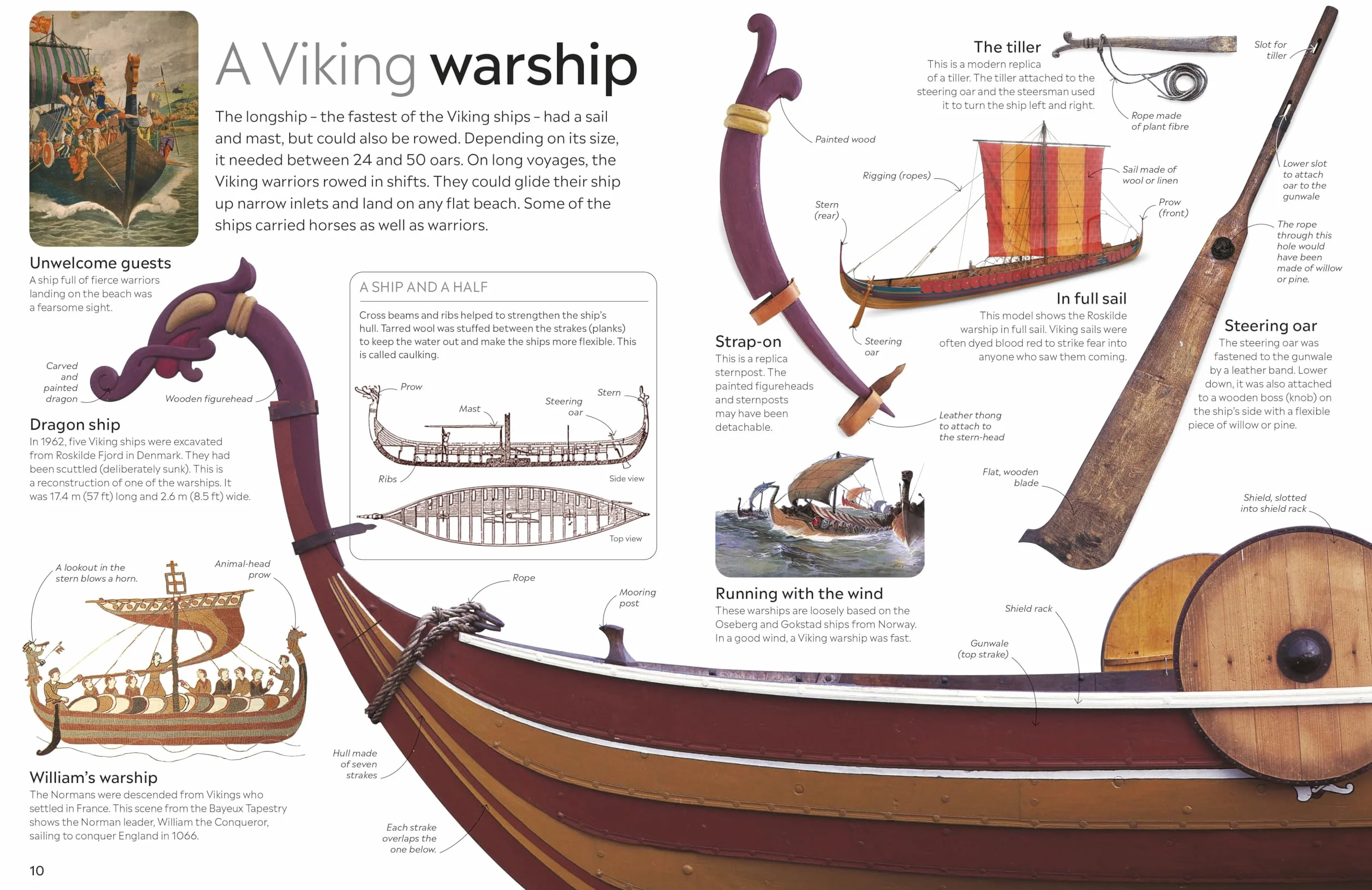 Viking: DK Eyewitness