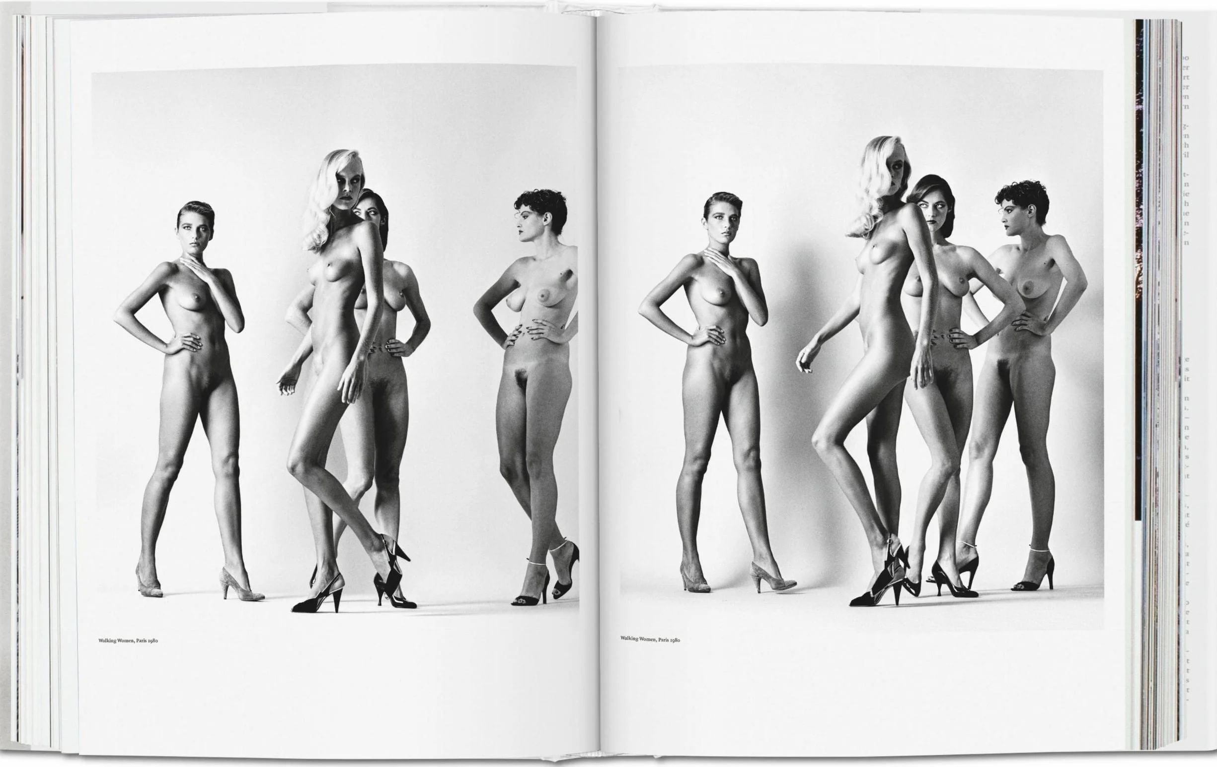 Helmut Newton SUMO 20th Anniversary