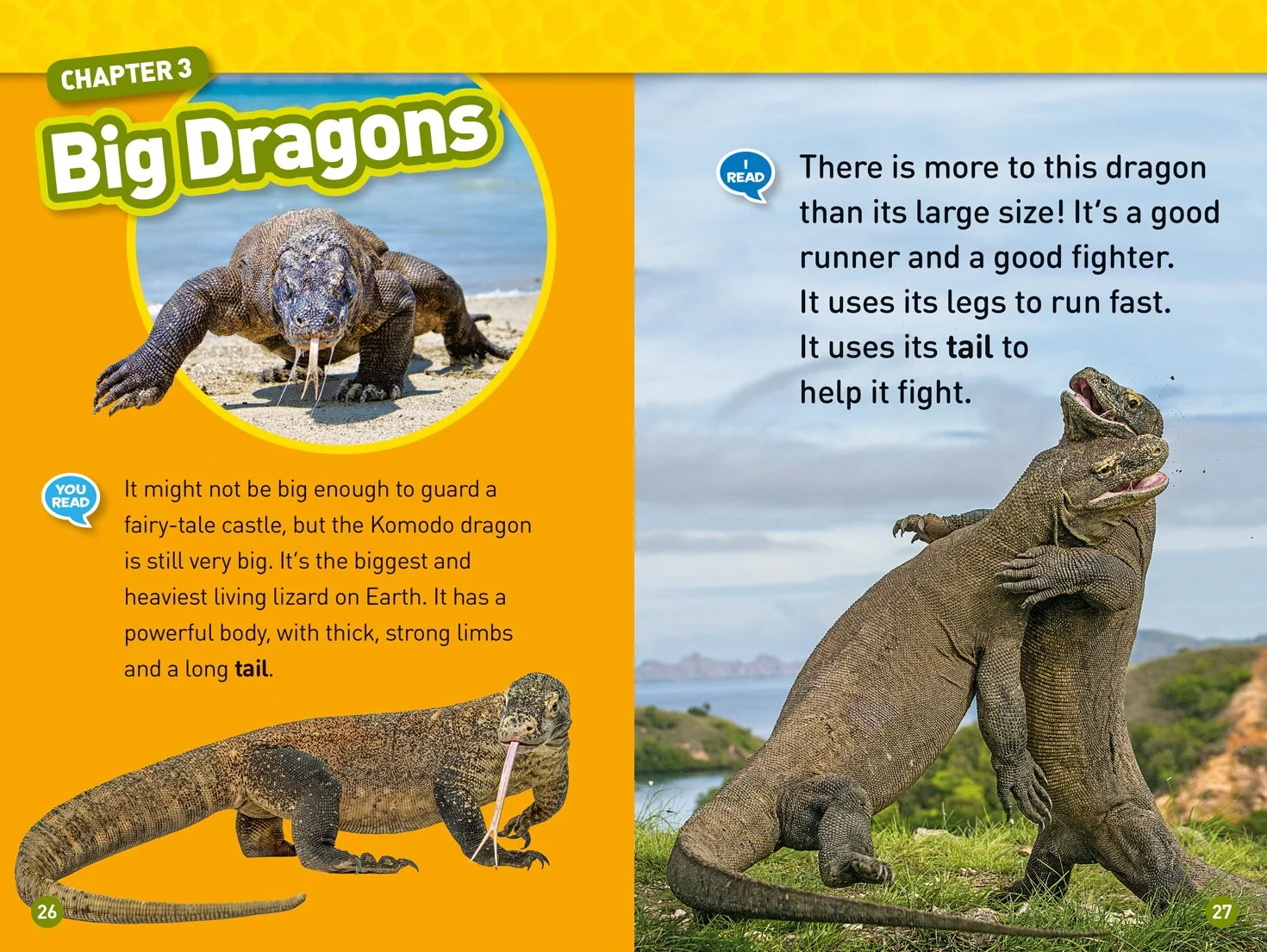 National Geographic Kids Readers: Real Dragons