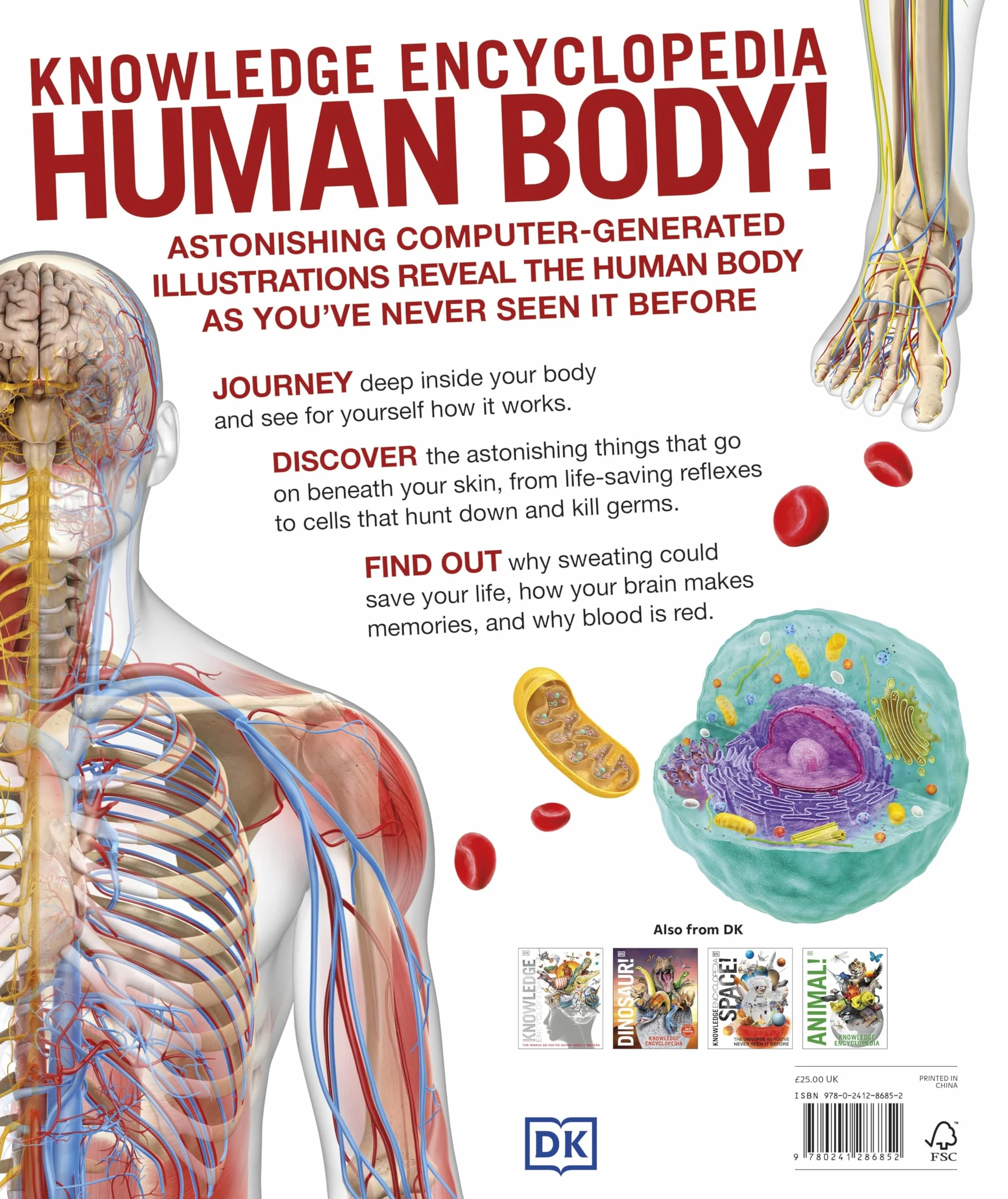 Knowledge Encyclopedia Human Body! (Knowledge Encyclopedias): Human Anatomy as You've Never Seen It Before