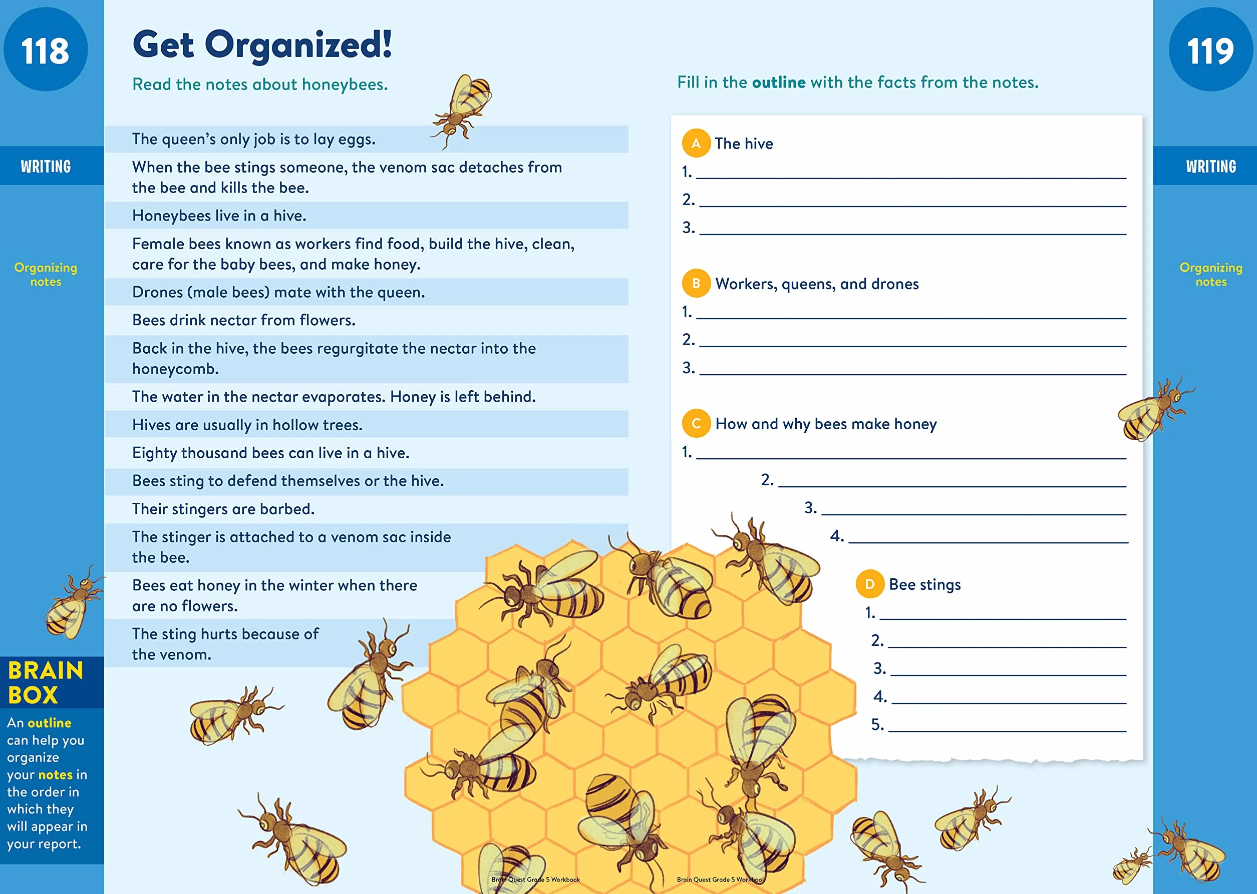 Brain Quest Workbook: 5th Grade Revised Edition