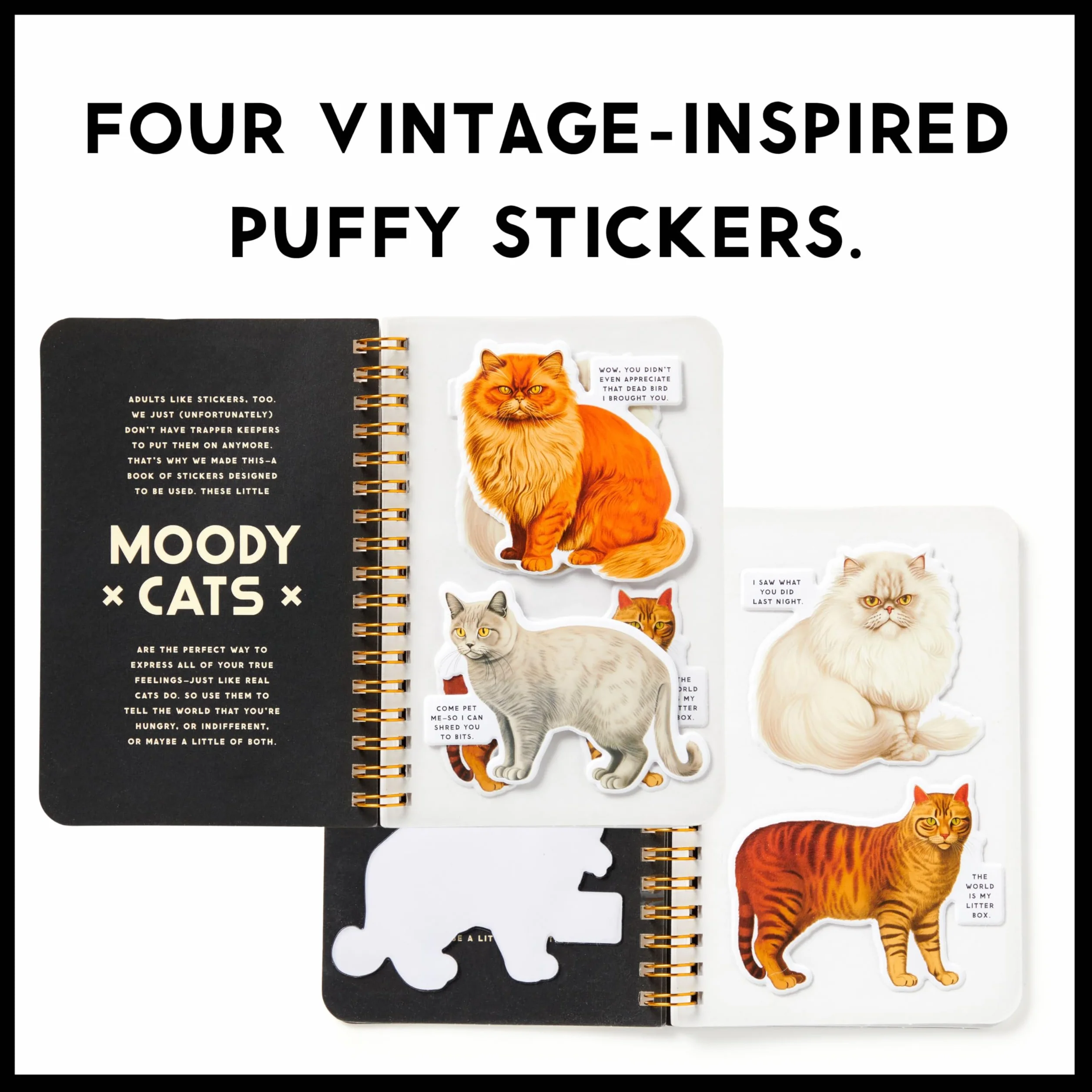 Moody Cats Sticker Book