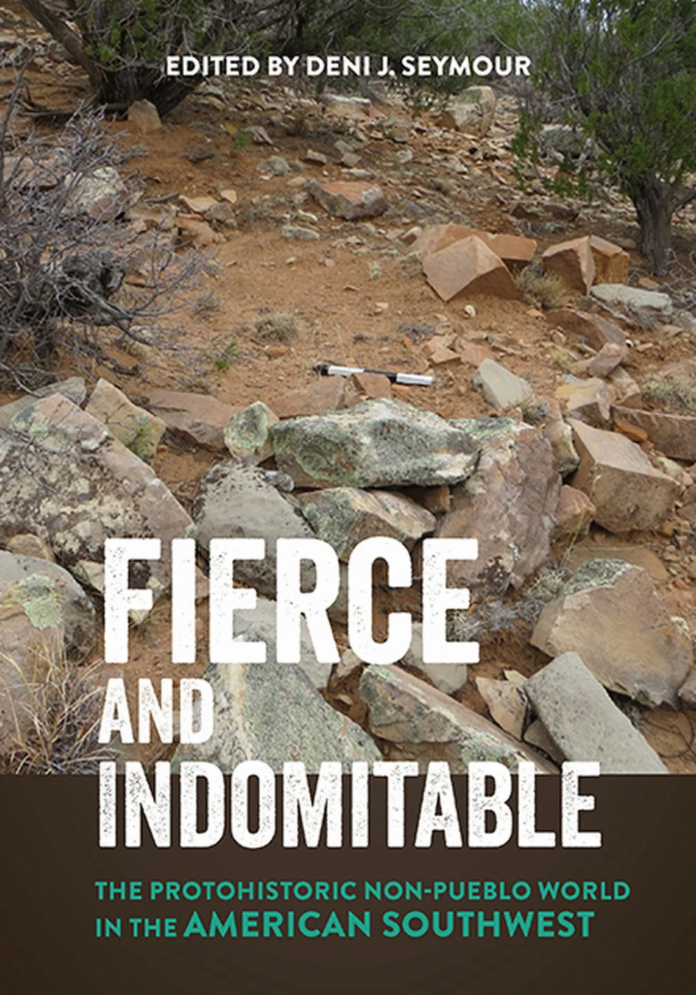 Protohistoric Non-Pueblo World American Southwest