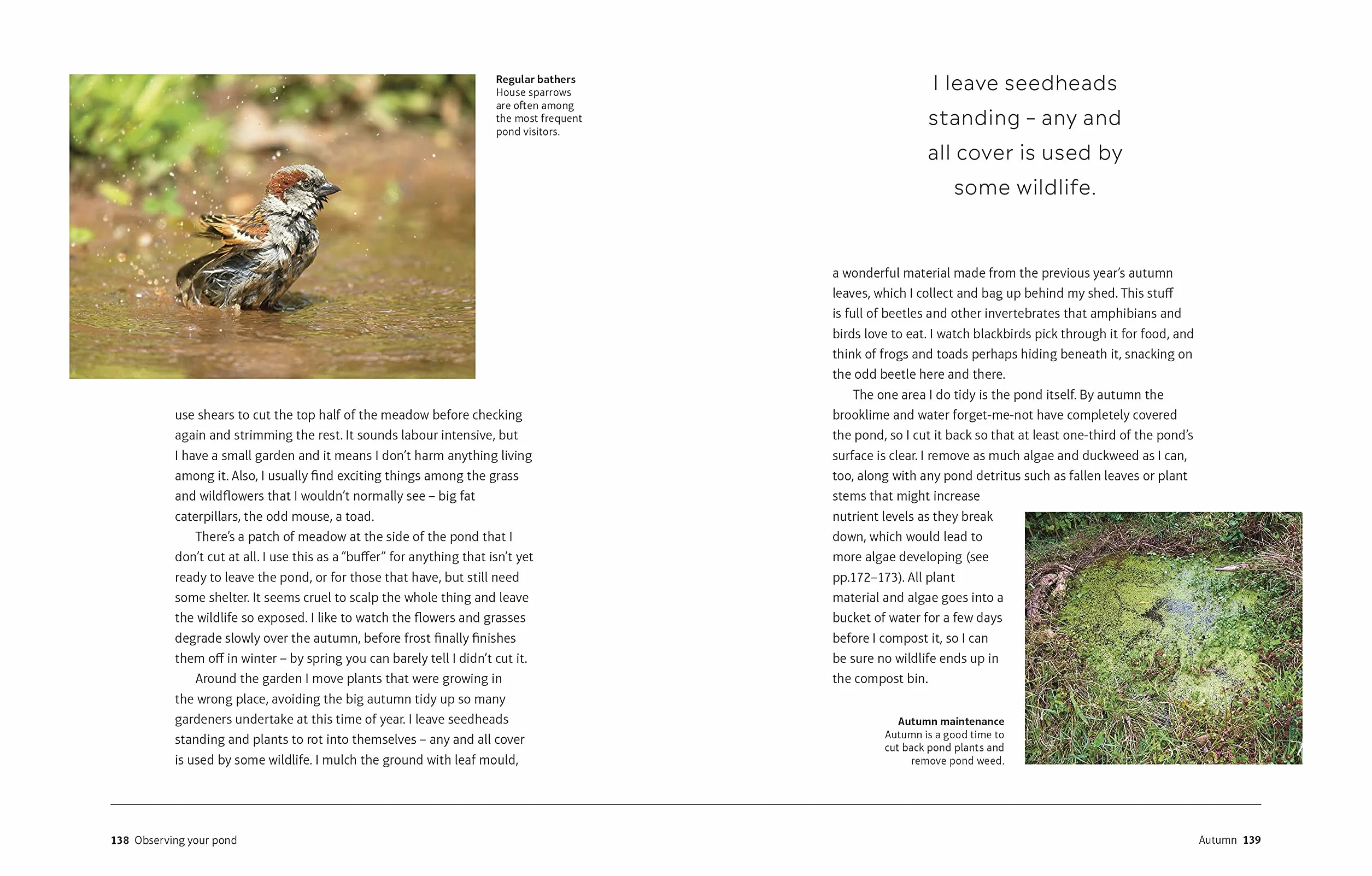 RHS How to Create a Wildlife Pond: Plan, Dig, and Enjoy a Natural Pond