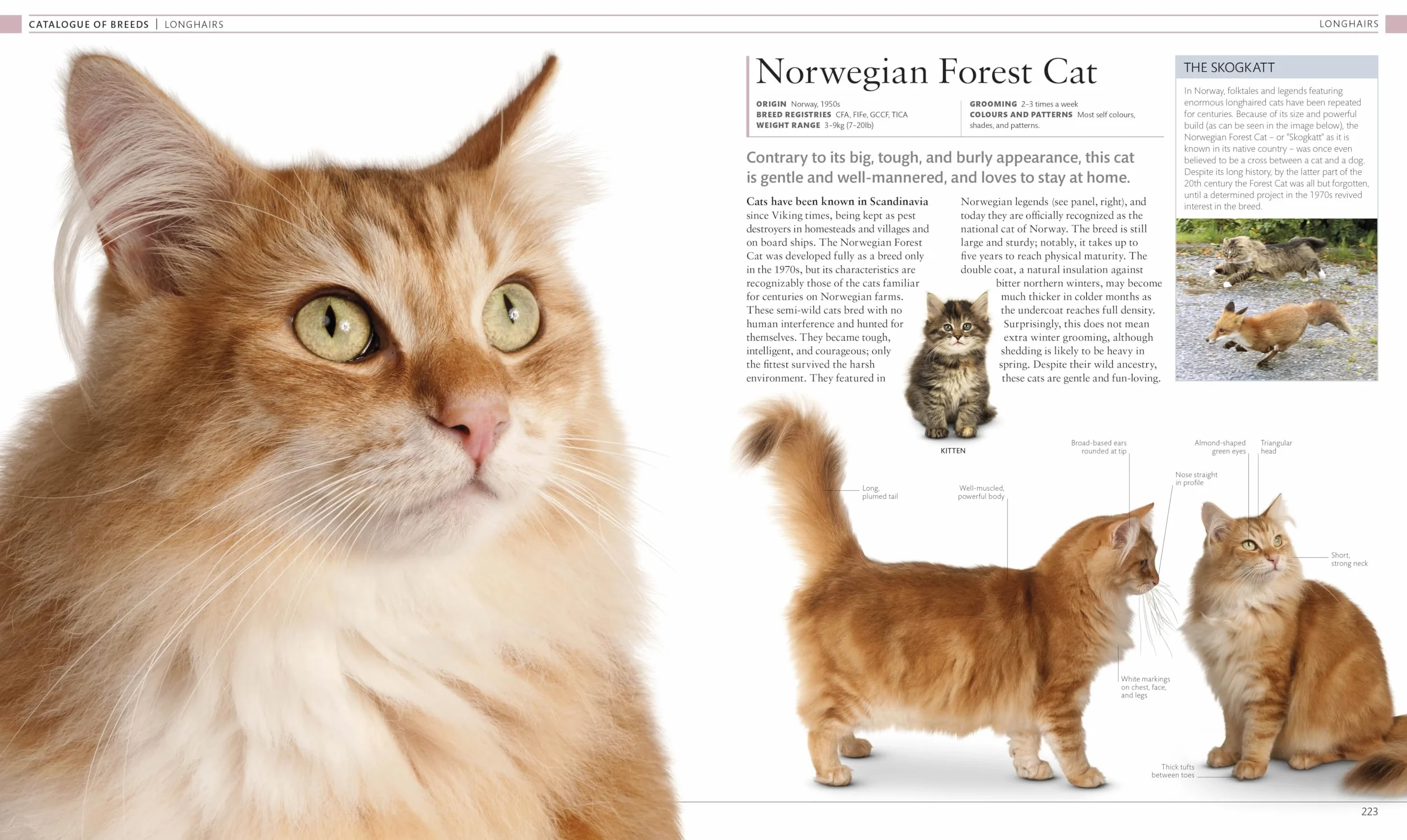 The Cat Encyclopedia: The Definitive Visual Guide