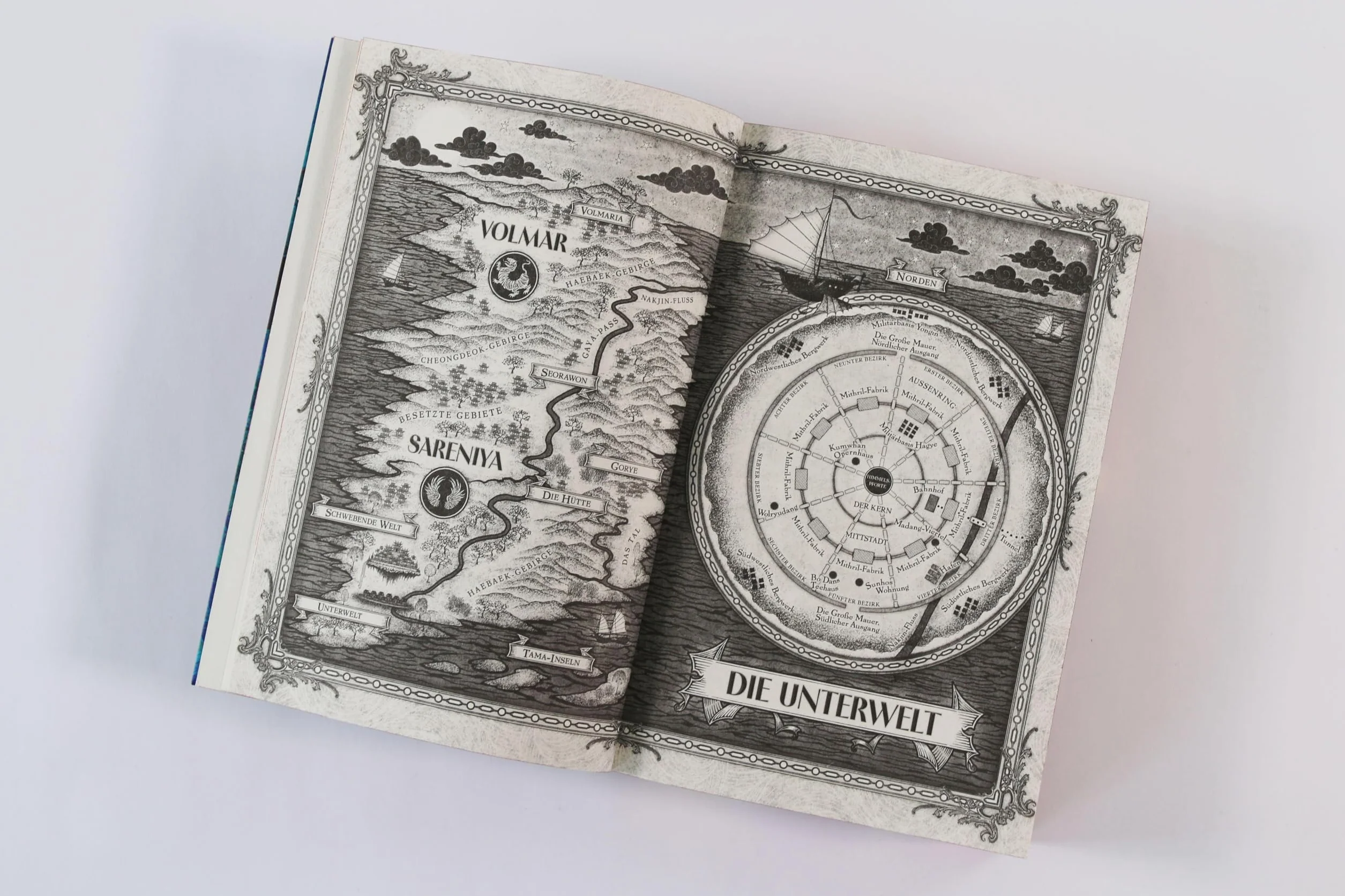 Der Junge aus dem Reich der Schatten (Floating World-Dilogie, Band 2): Das atemberaubende Finale der berührenden Romantasy-Dilogie - Mit Farbschnitt und Charakterkarte in der 1. Auflage