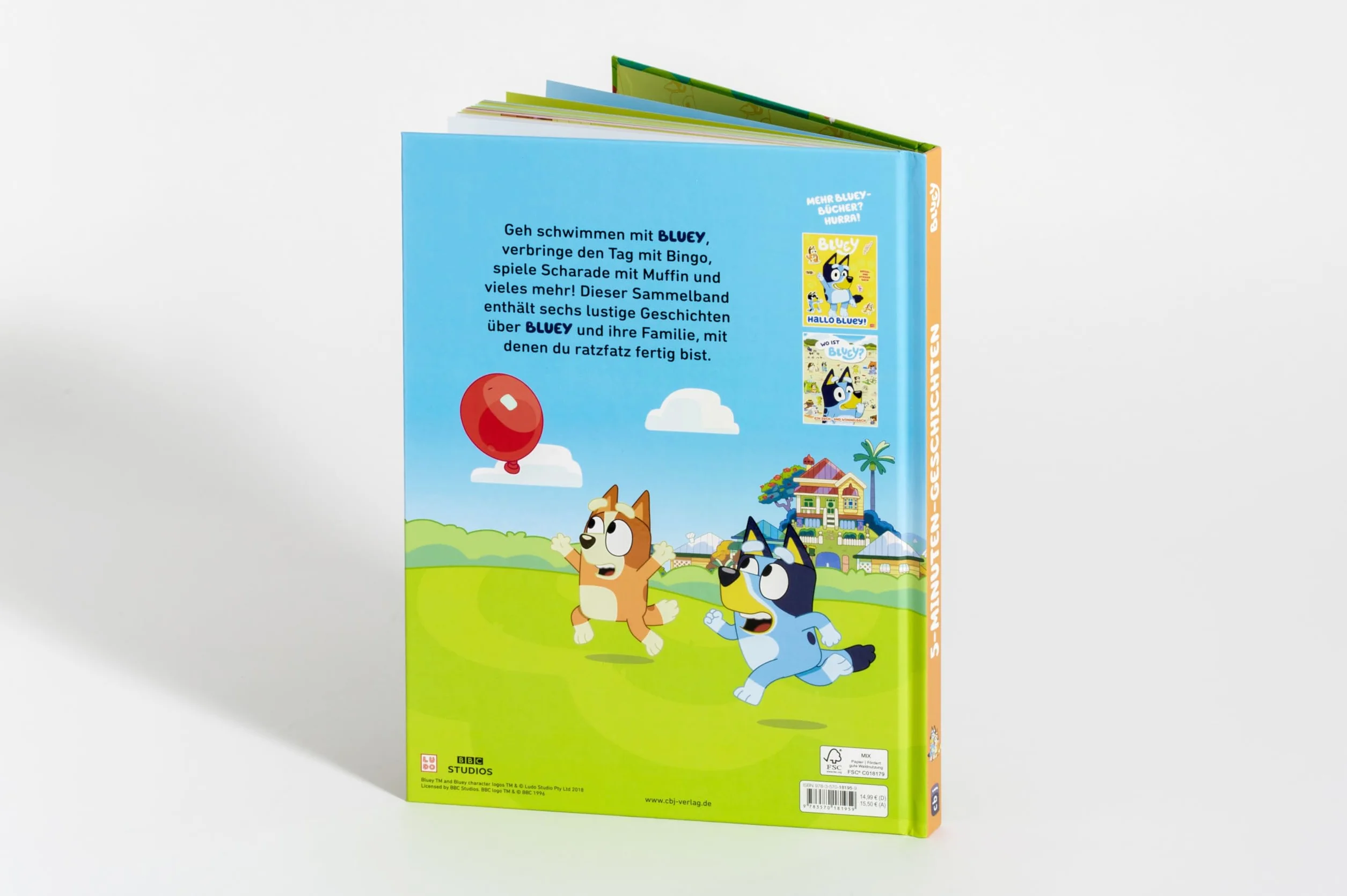 BLUEY 5-Minuten-Geschichten Bilderbuch für Kinder ab 3 Jahren